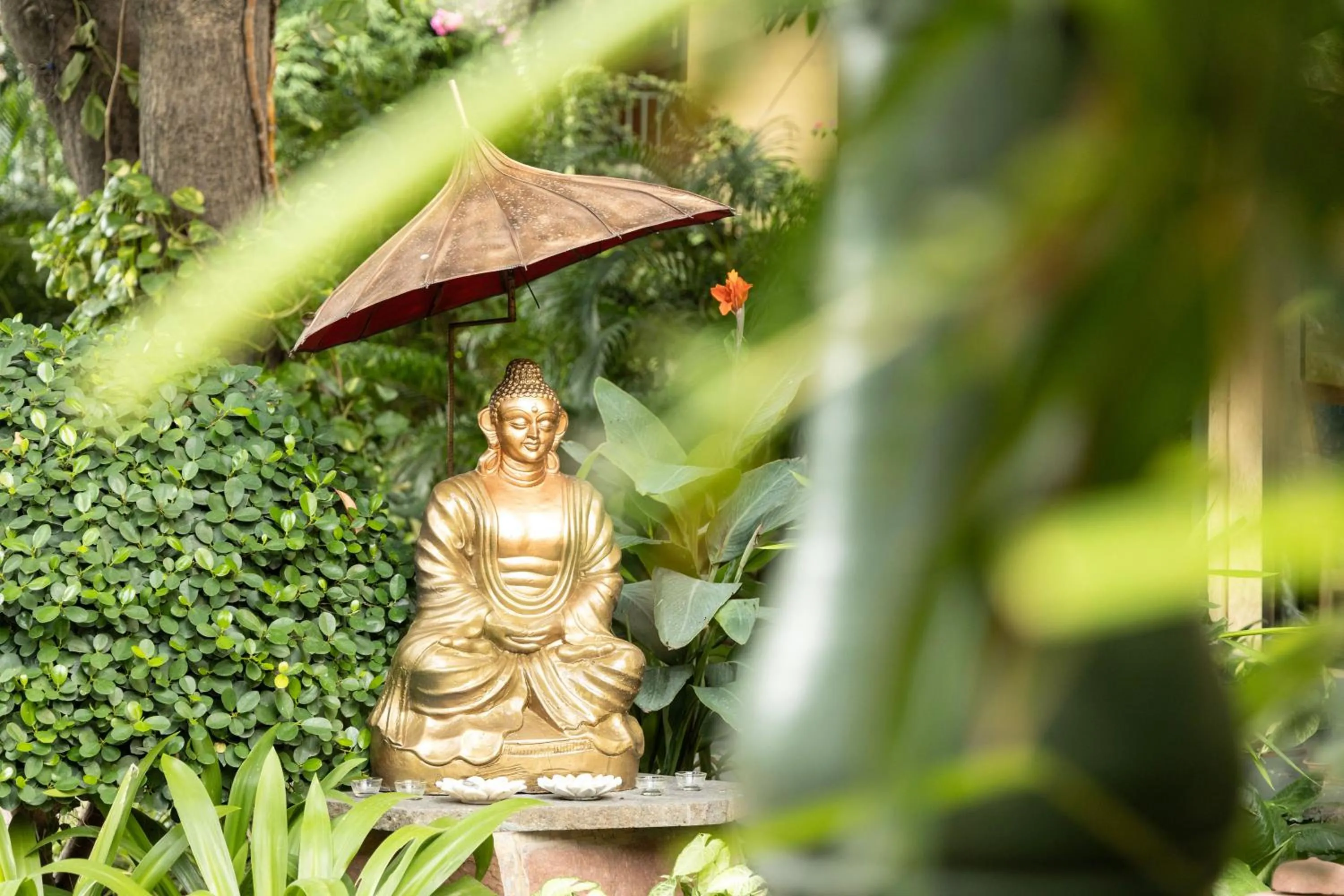 Natural landscape in Hotel Kamal Palace