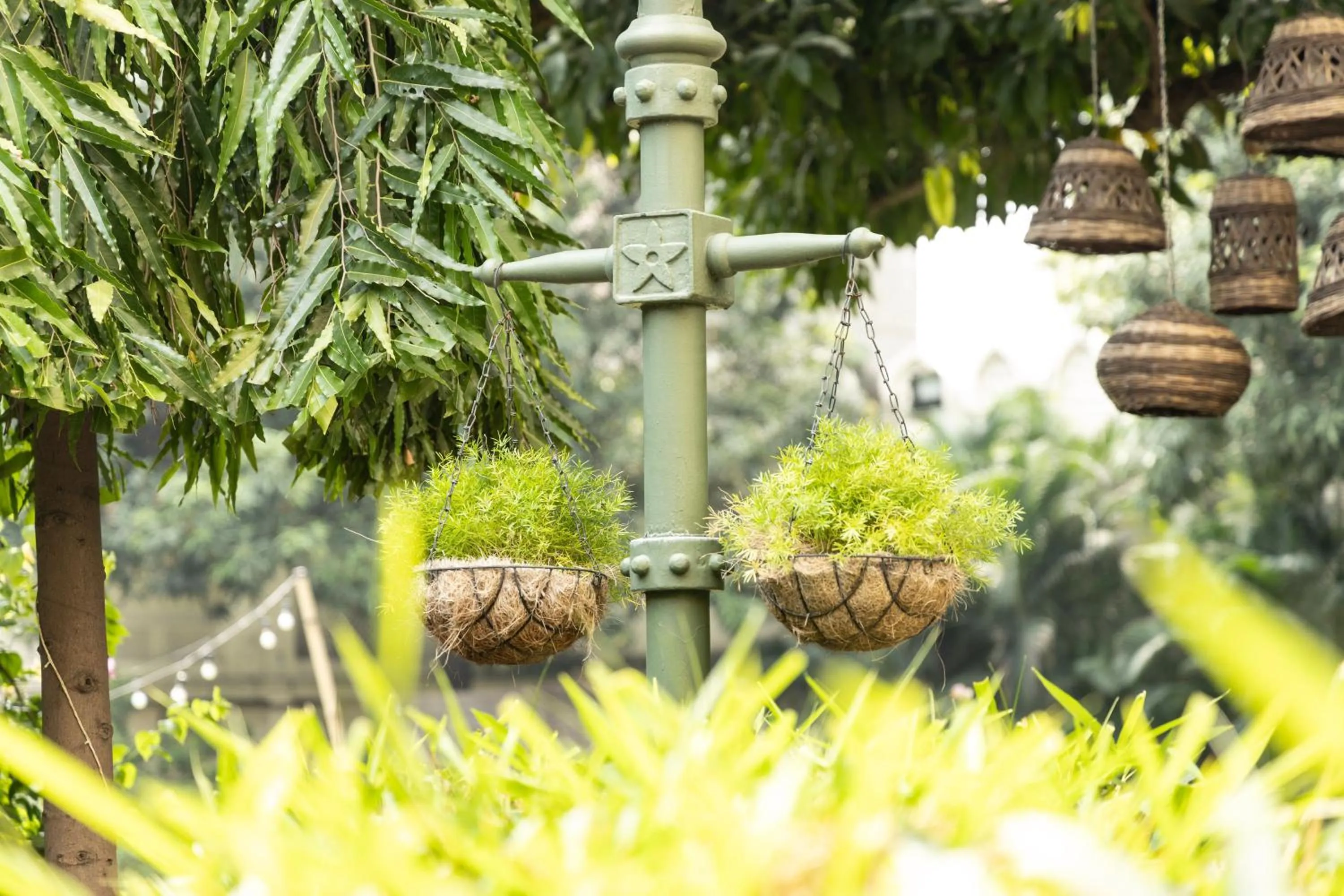 Natural landscape in Hotel Kamal Palace