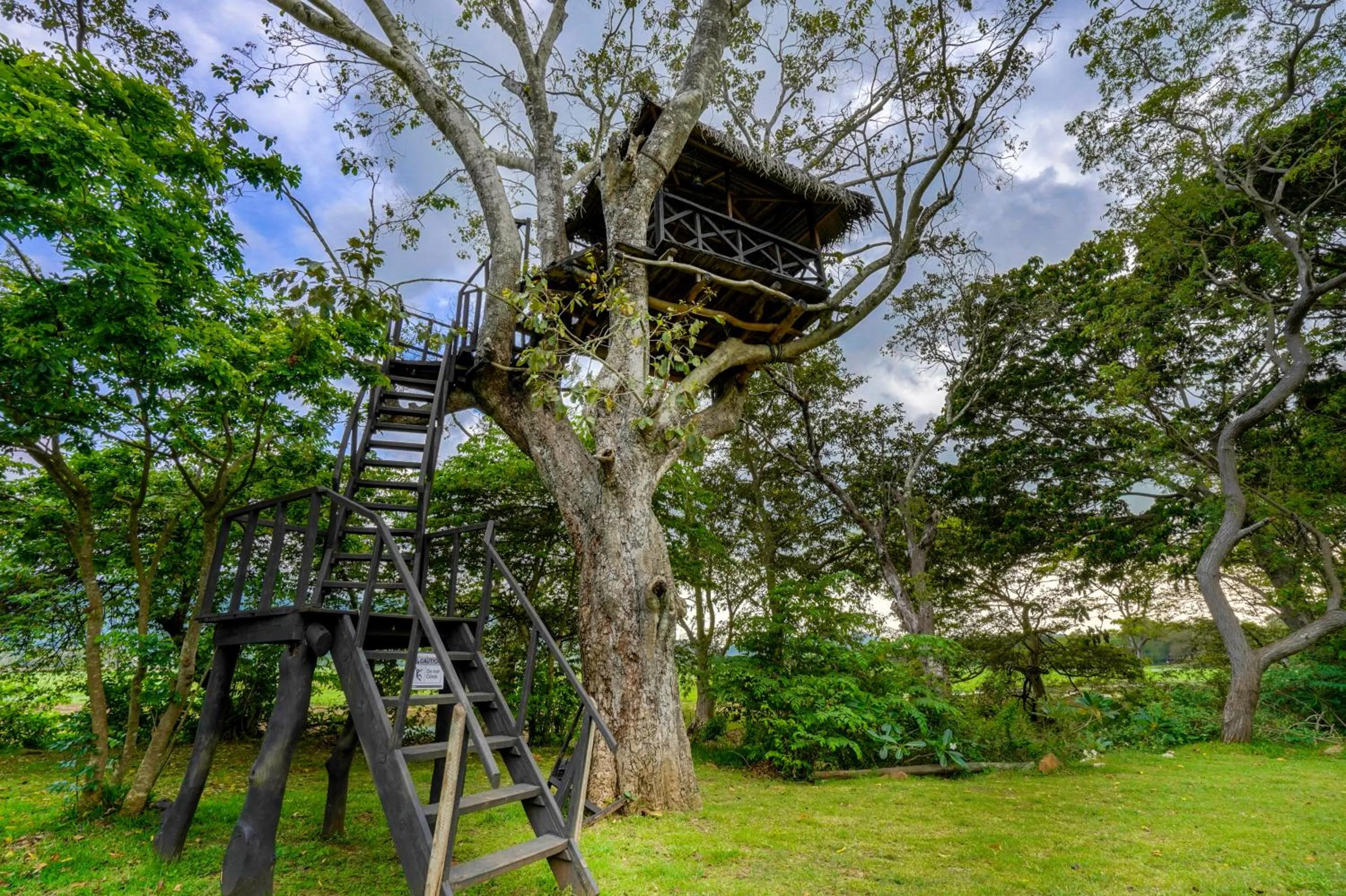 Natural landscape in Grand Tamarind Lake
