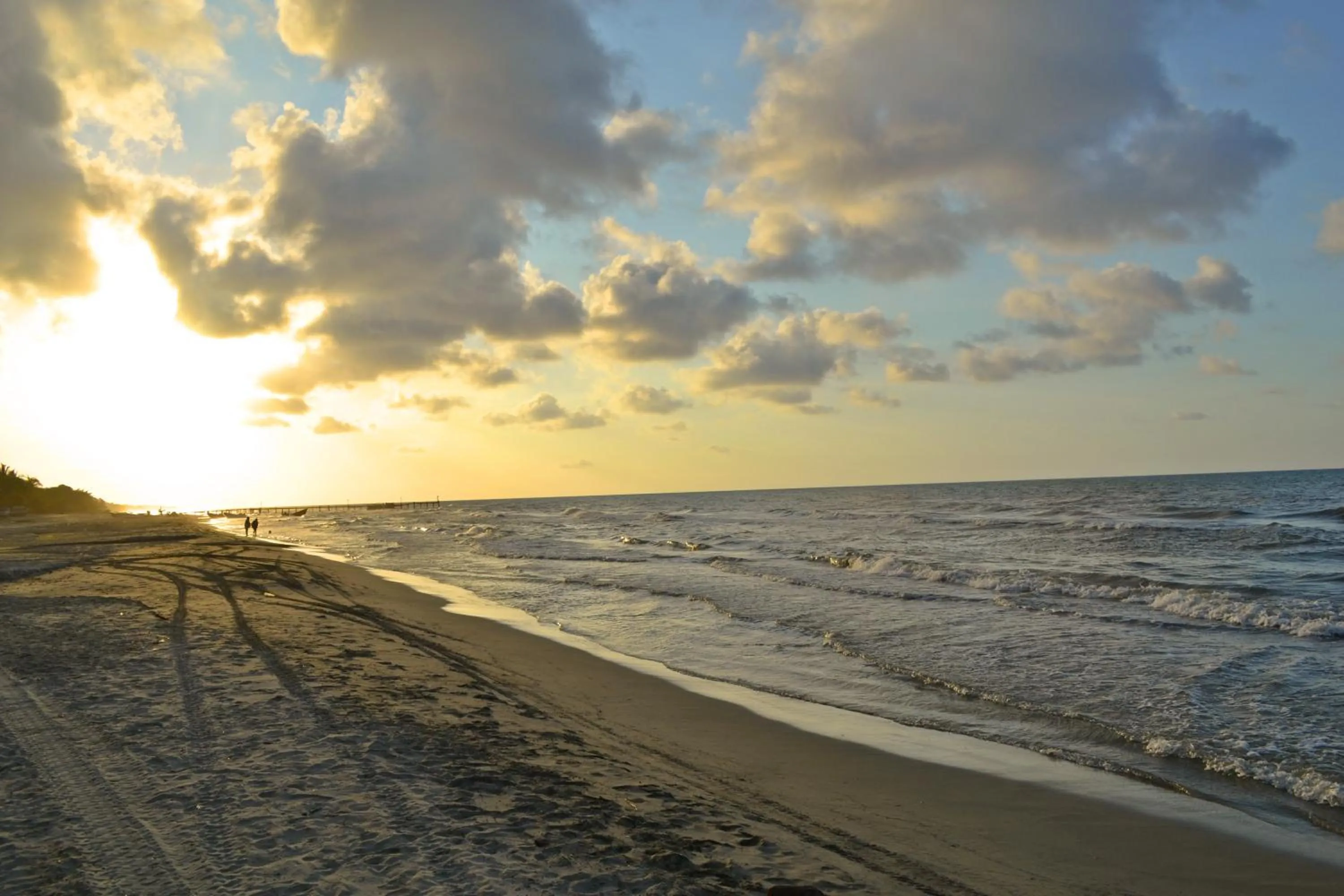 Natural landscape in Hotel Palma Real