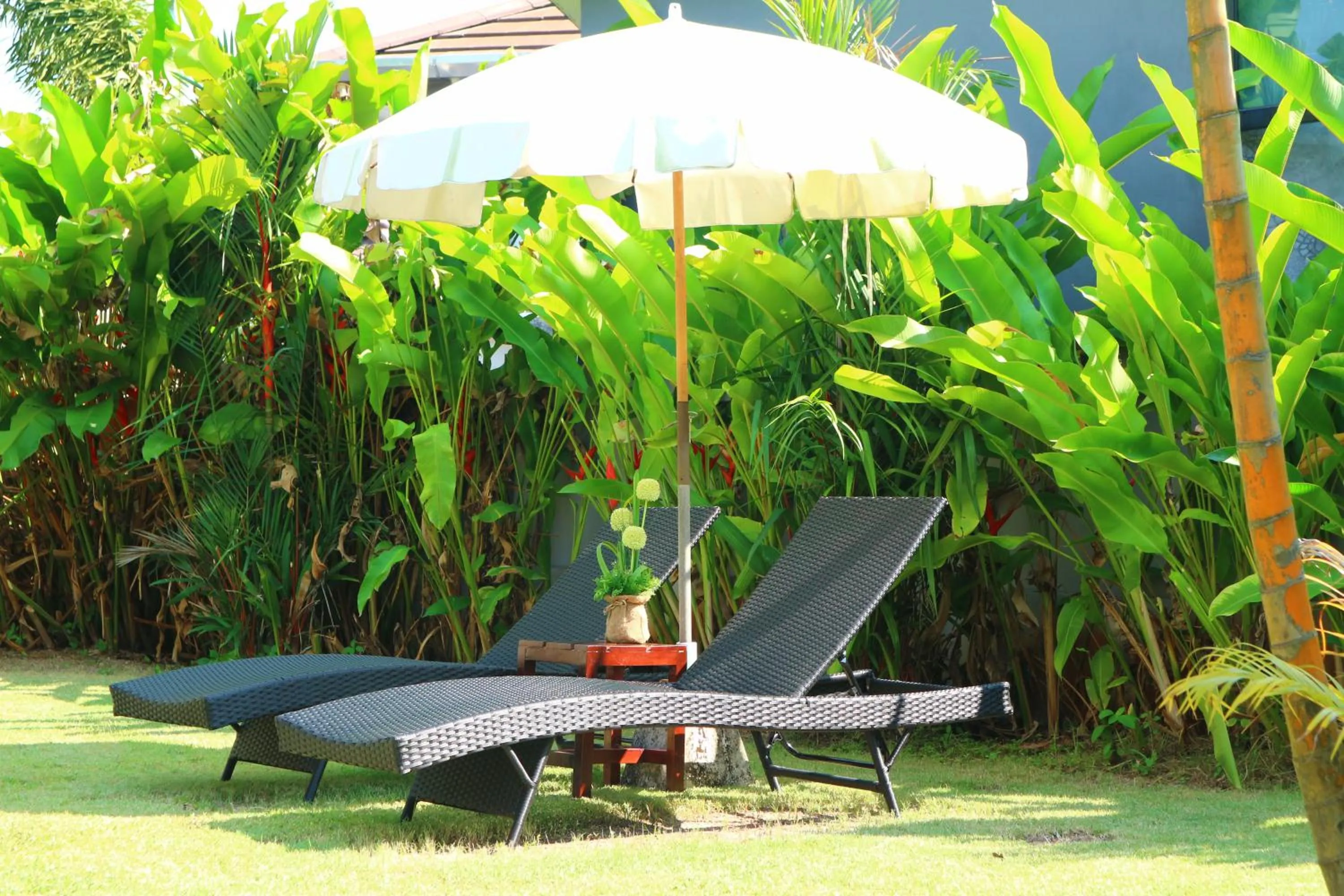 Garden in Baan Norkna Bangtao