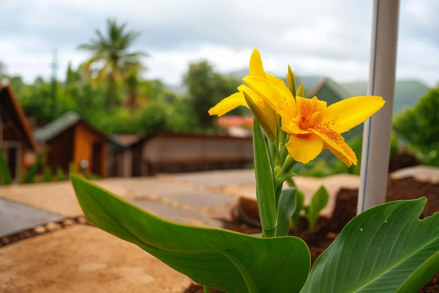 Garden view in Rumourss Sky Villa & Resort