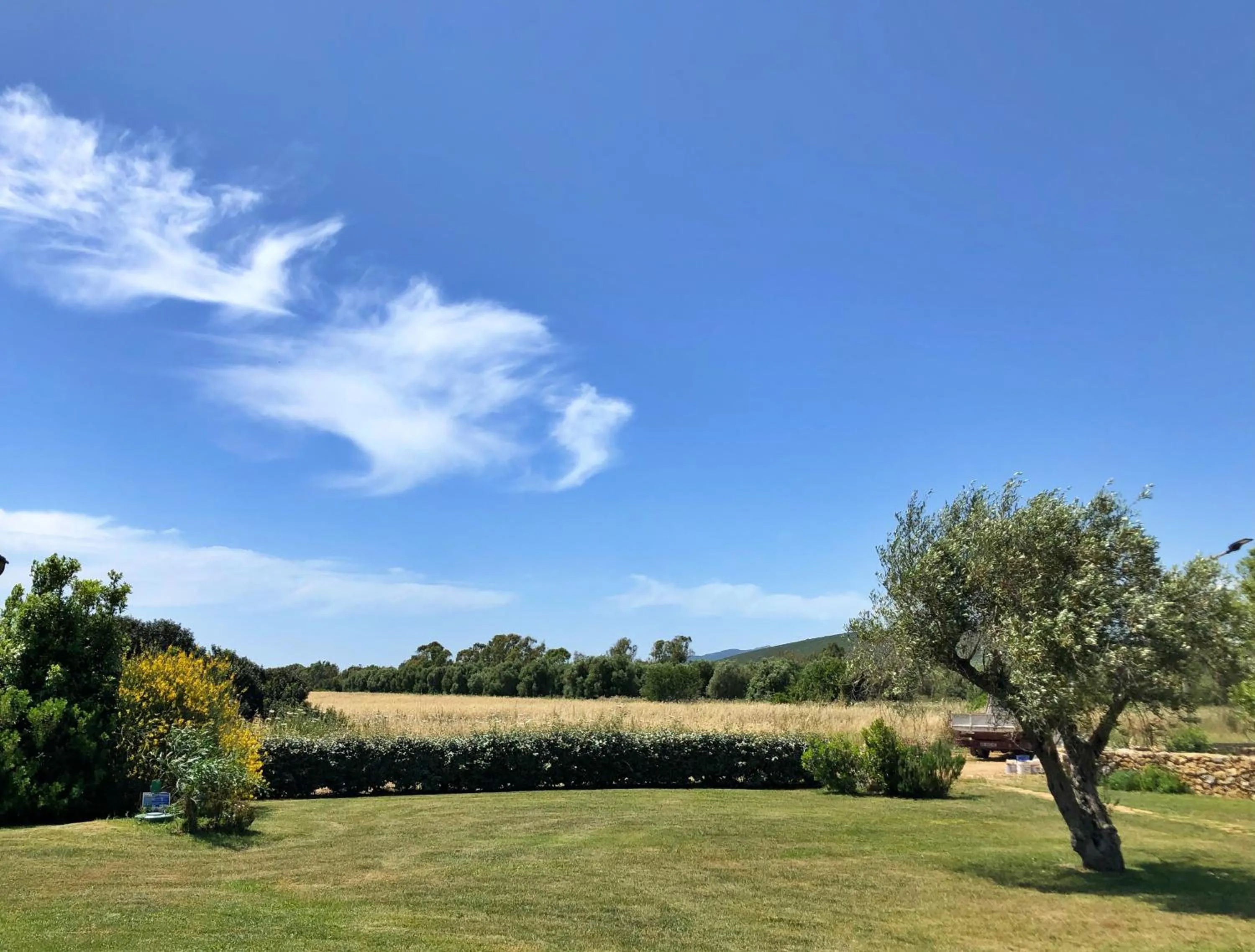 Garden in Inghirios Wellness Country Resort