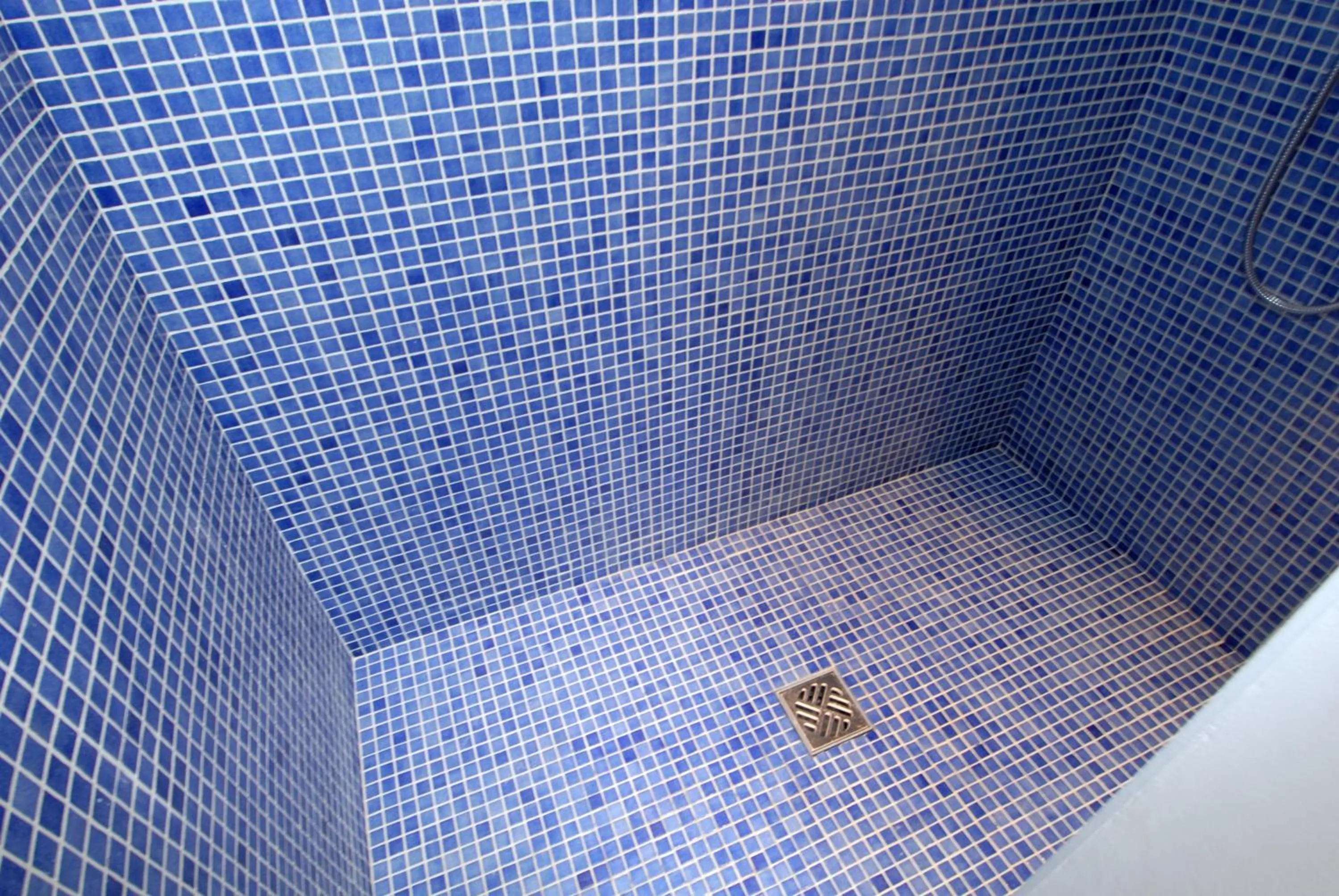 Shower in Transparent Marais