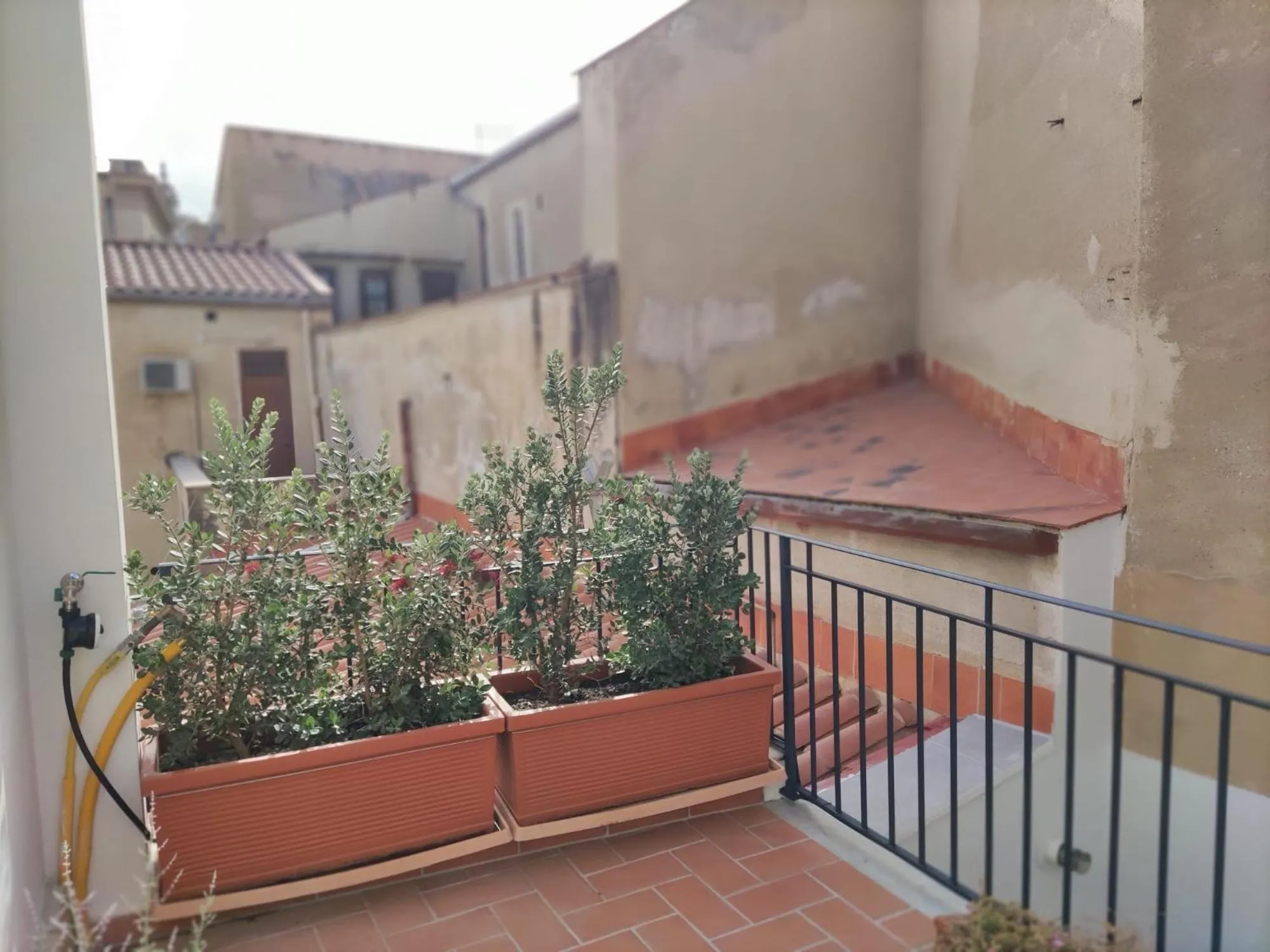 Balcony/Terrace in B&B Cala Peppa