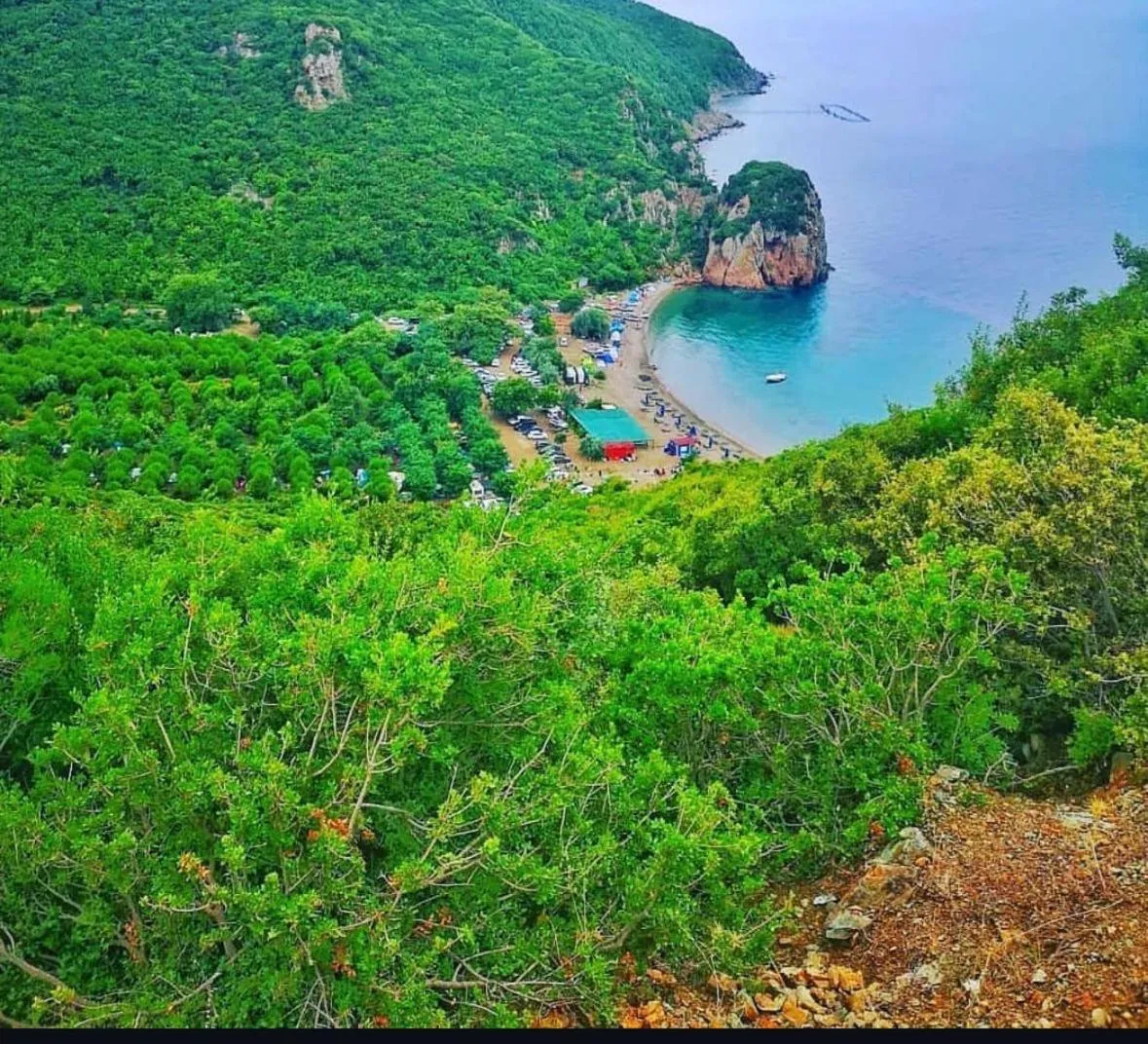 Diving in Hotel Milestone1915