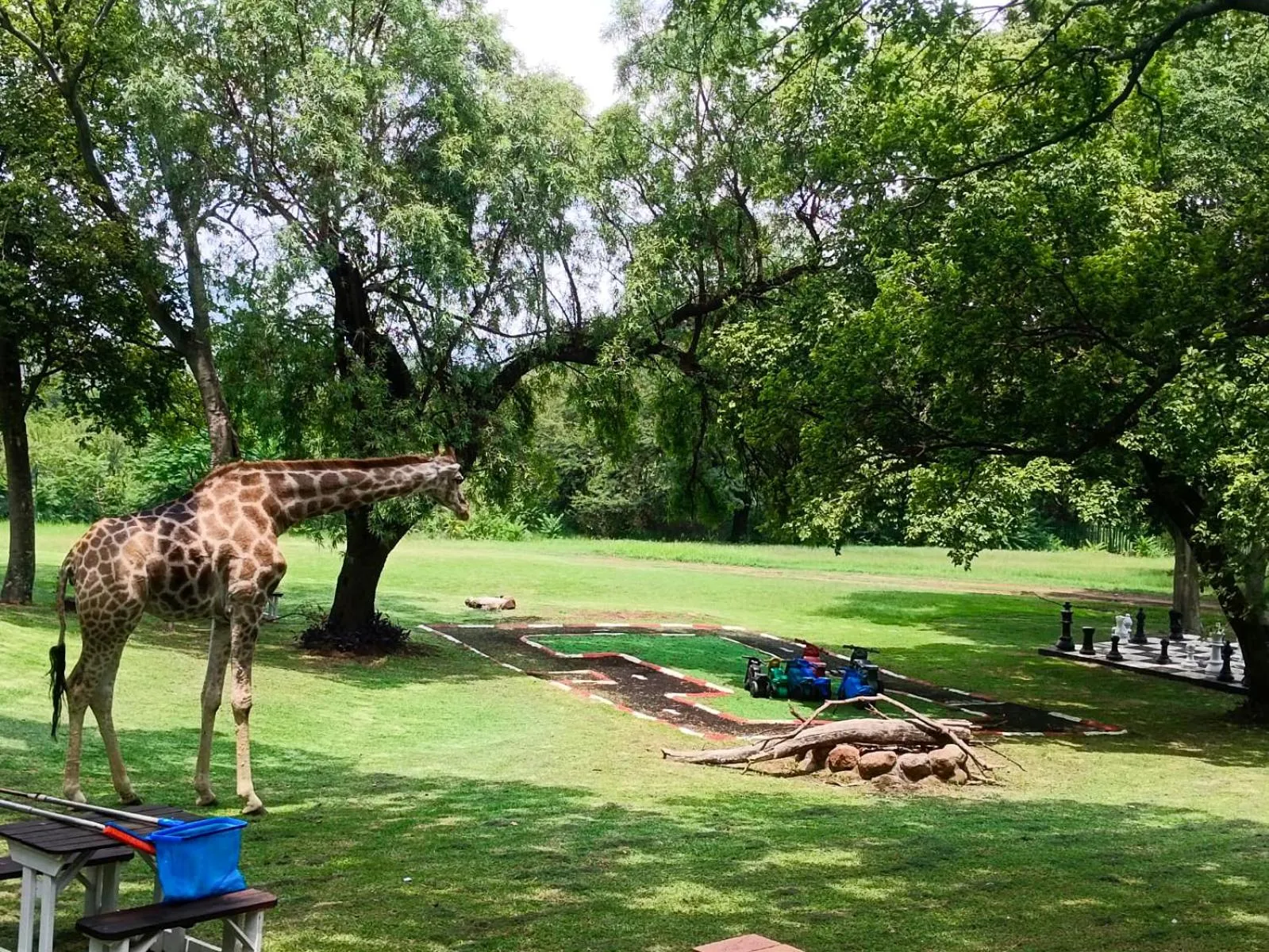 The Venue Country Hotel & Spa