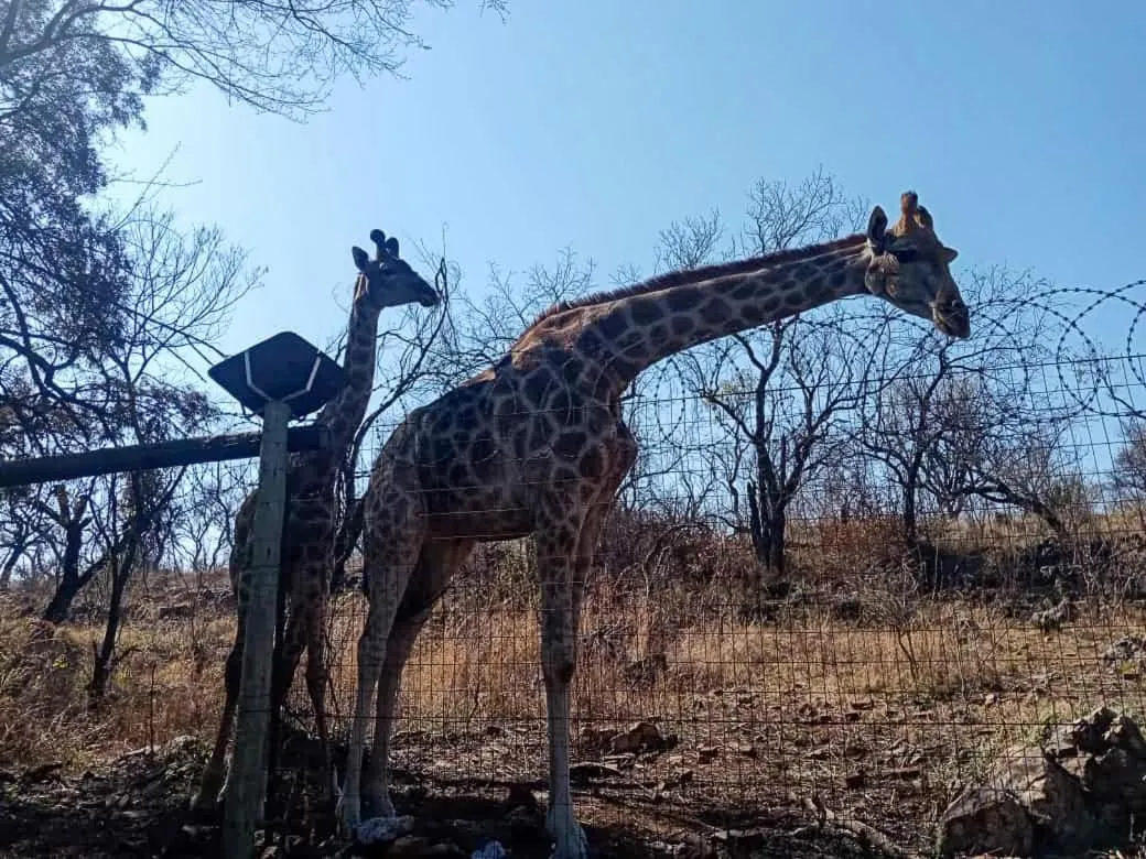 The Venue Country Hotel & Spa