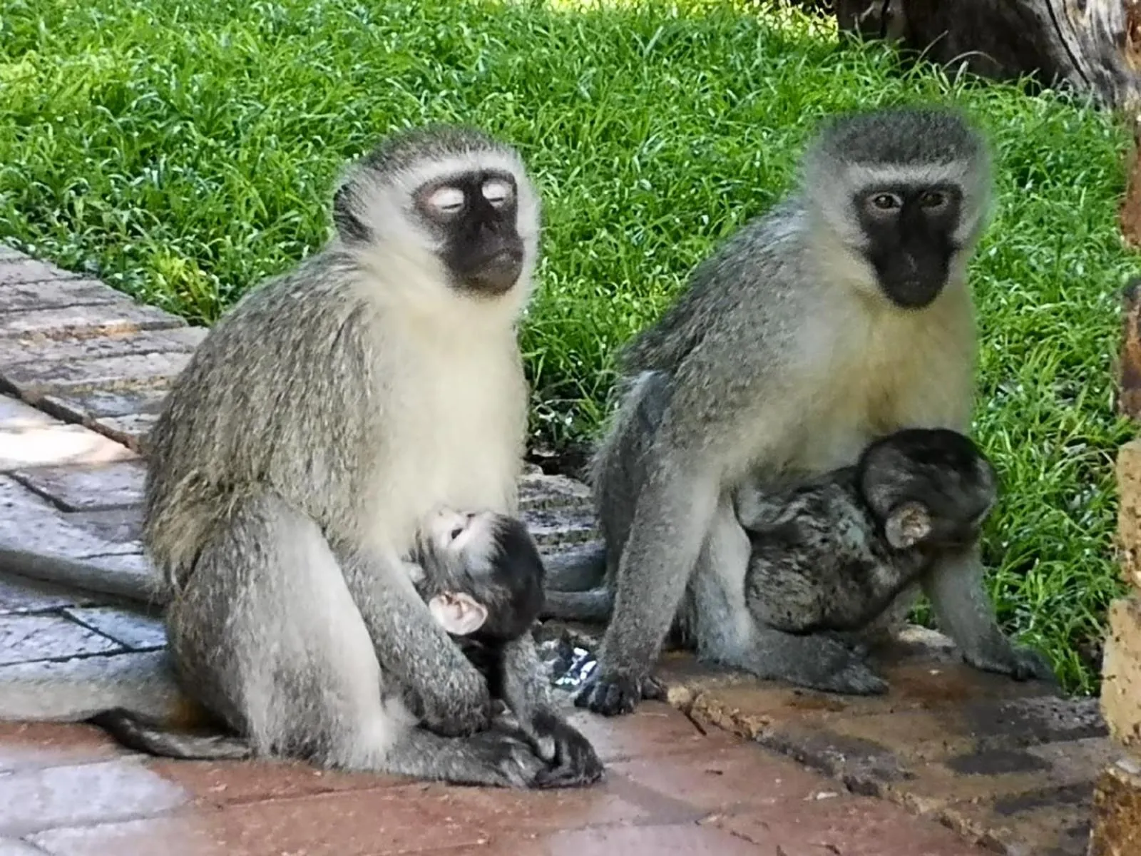 The Venue Country Hotel & Spa