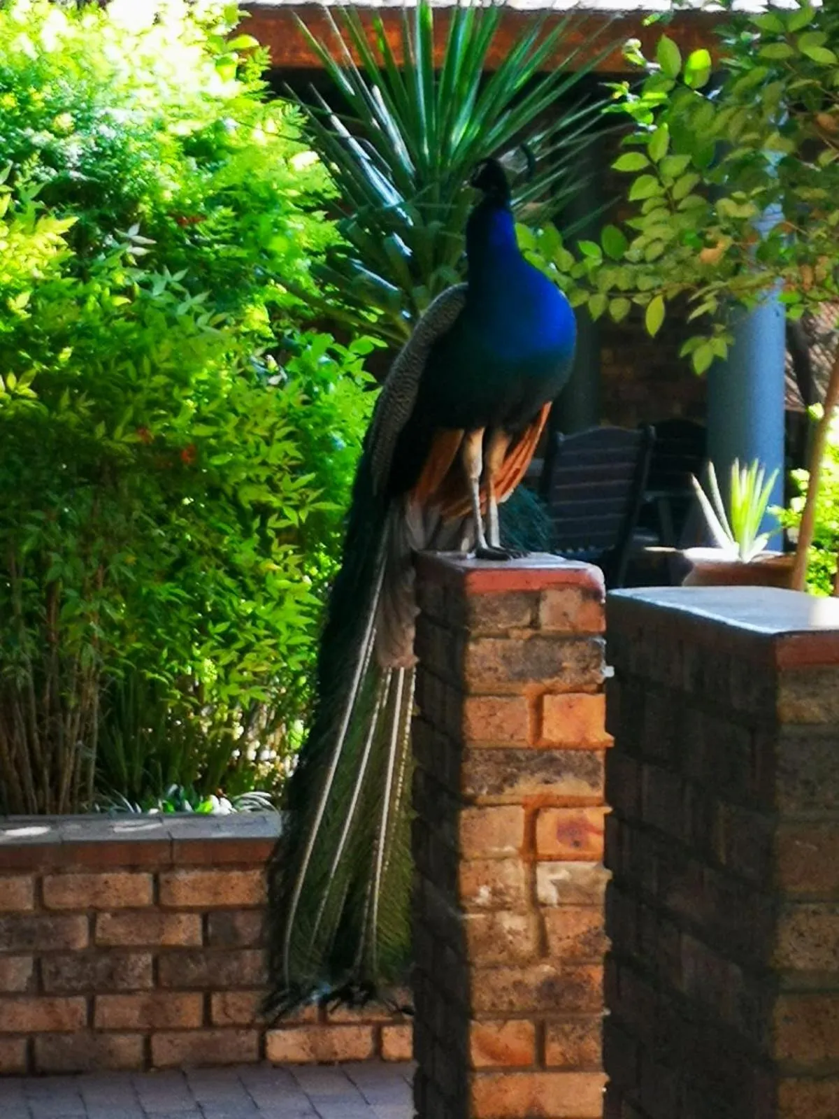 The Venue Country Hotel & Spa