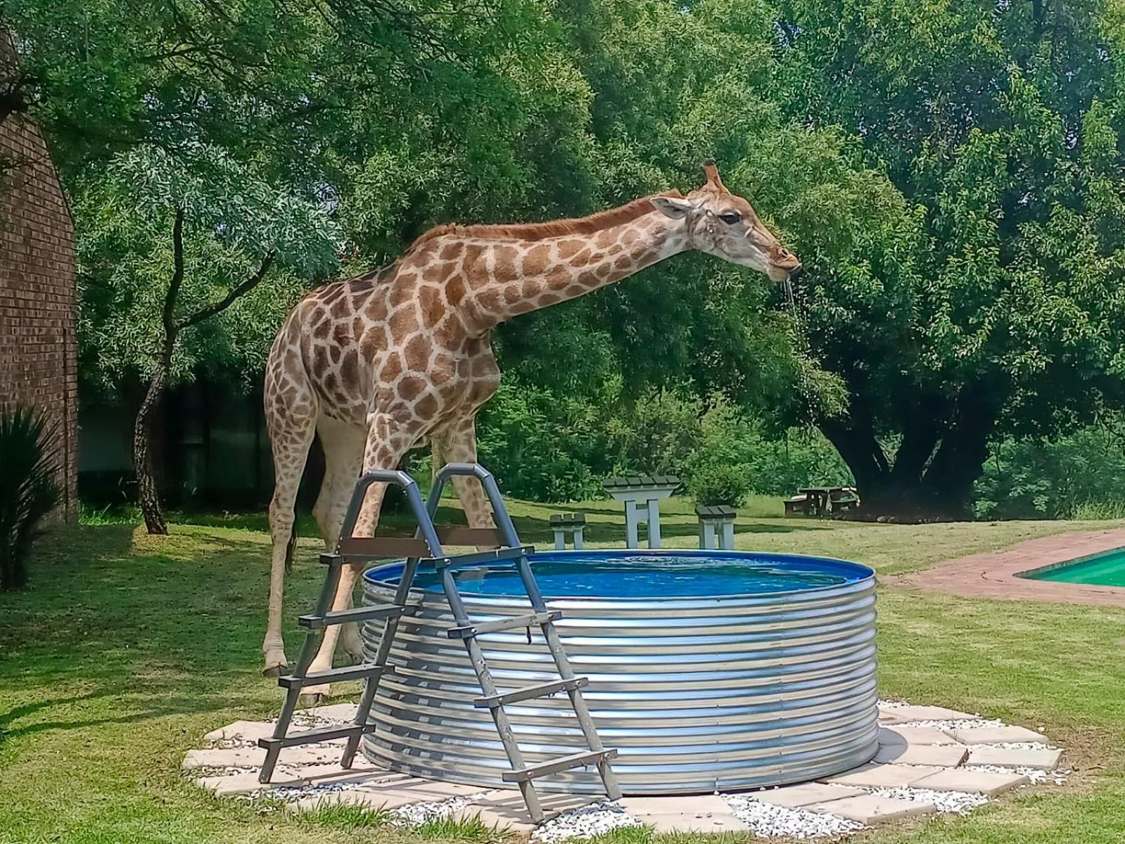 The Venue Country Hotel & Spa