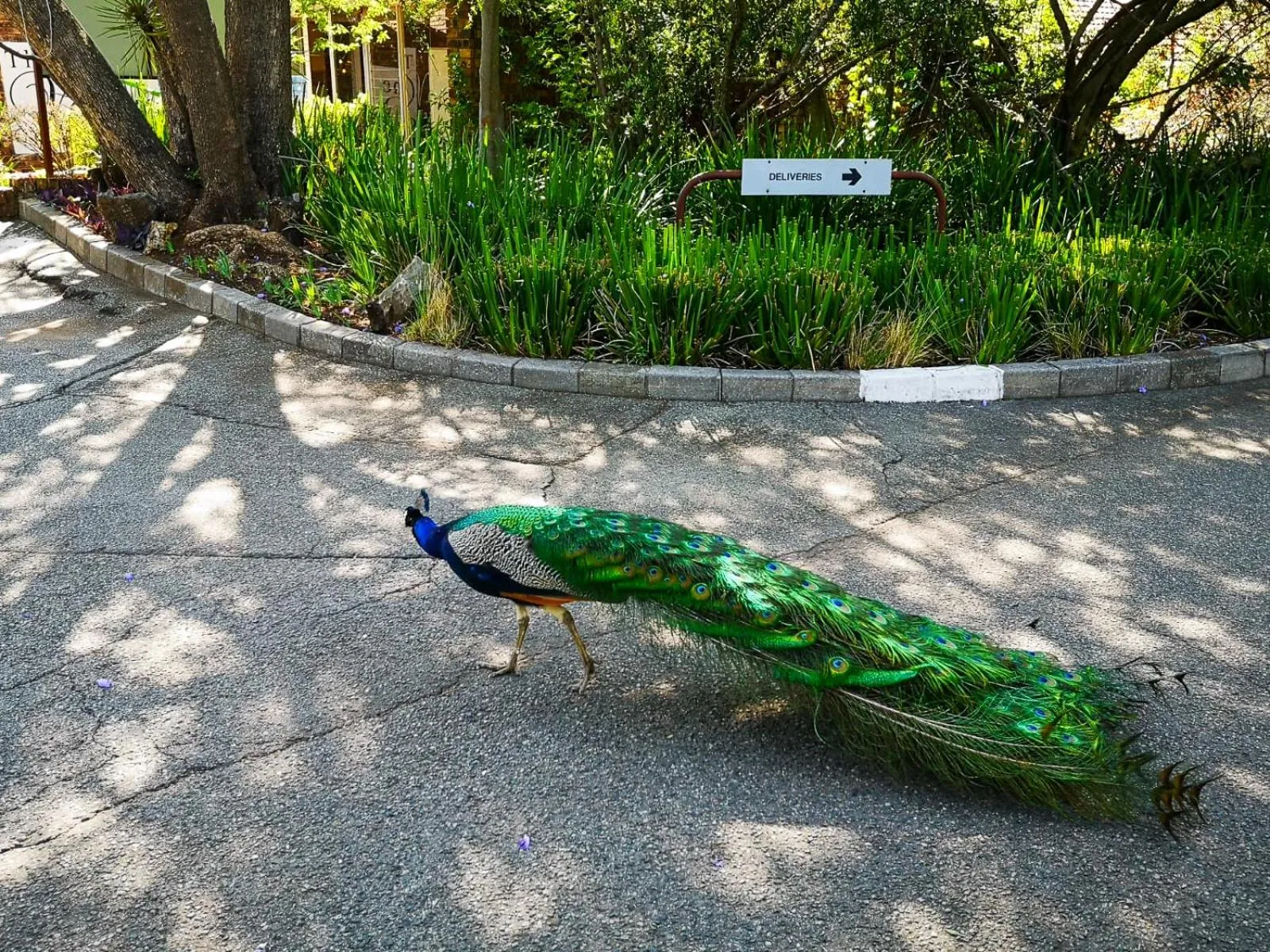 The Venue Country Hotel & Spa