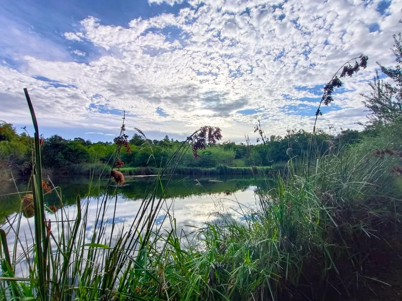 The Venue Country Hotel & Spa