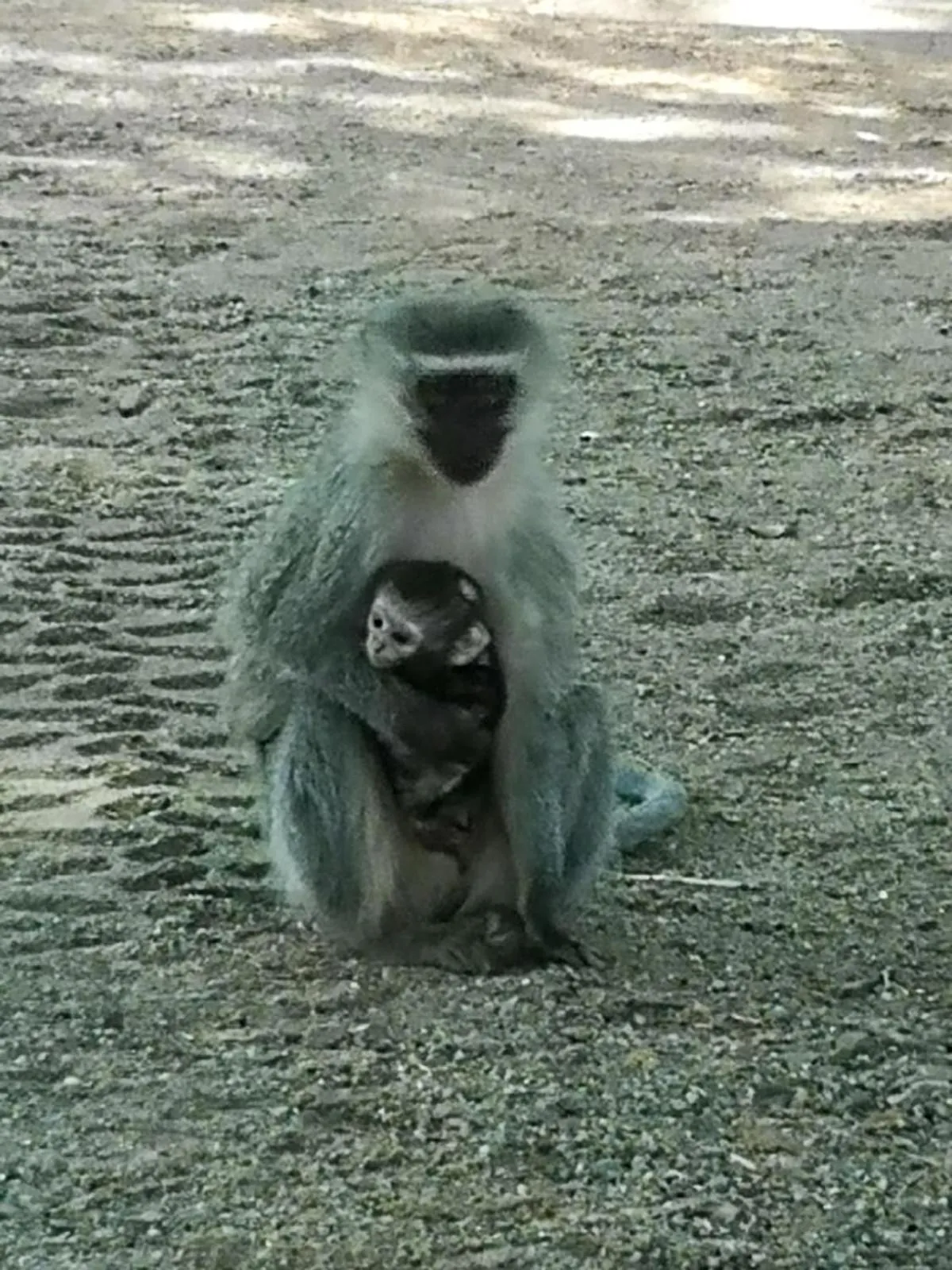 The Venue Country Hotel & Spa