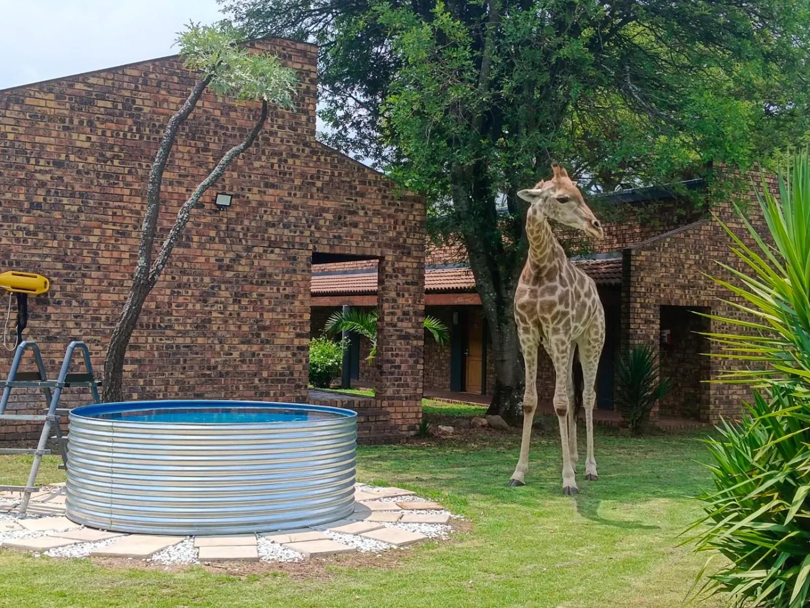 The Venue Country Hotel & Spa