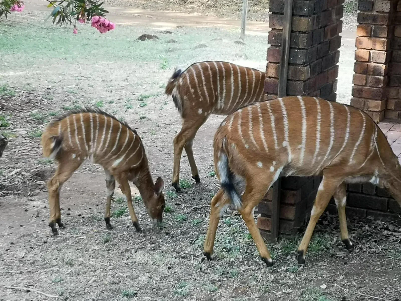 The Venue Country Hotel & Spa