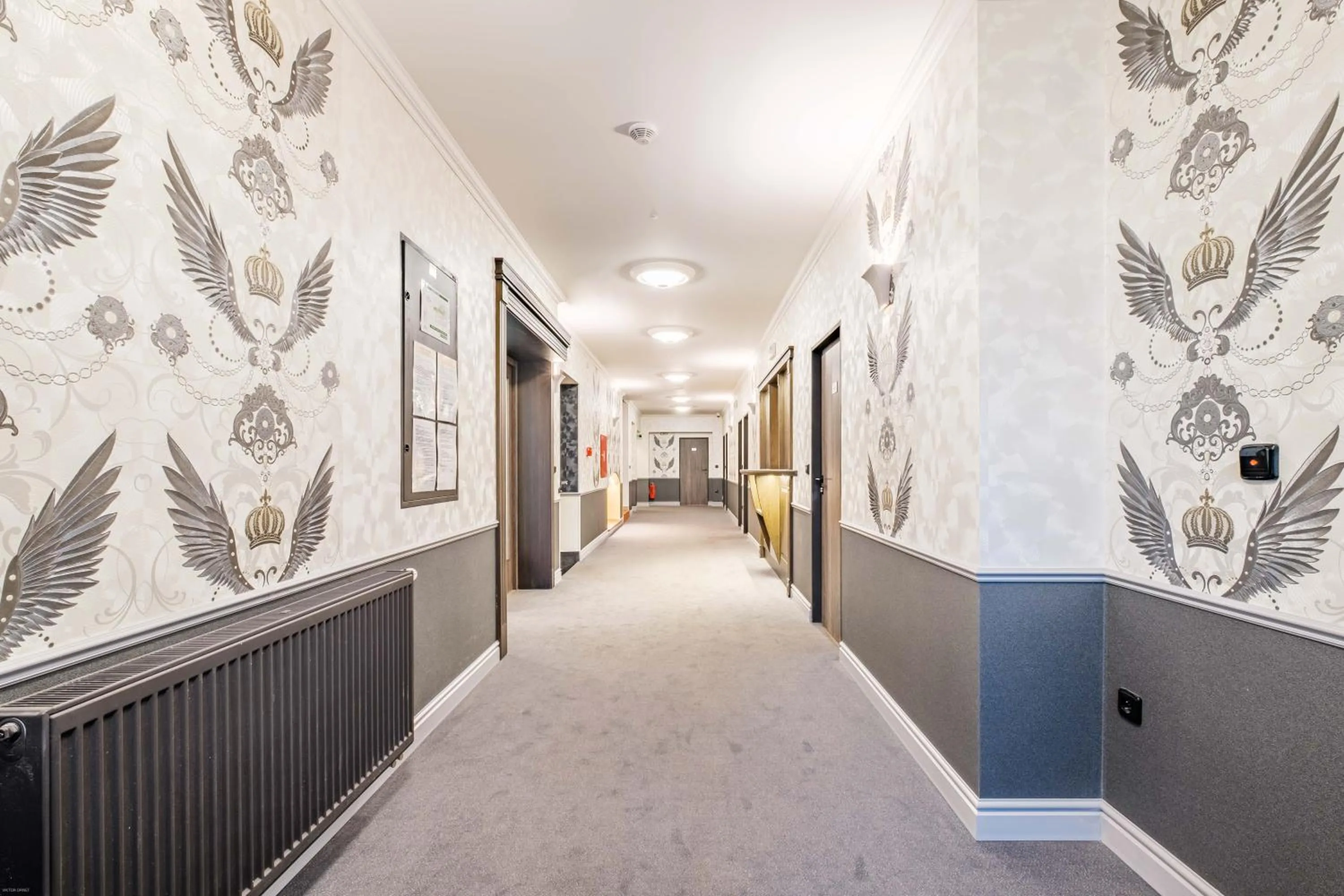 Area and facilities in Hotel Orličan