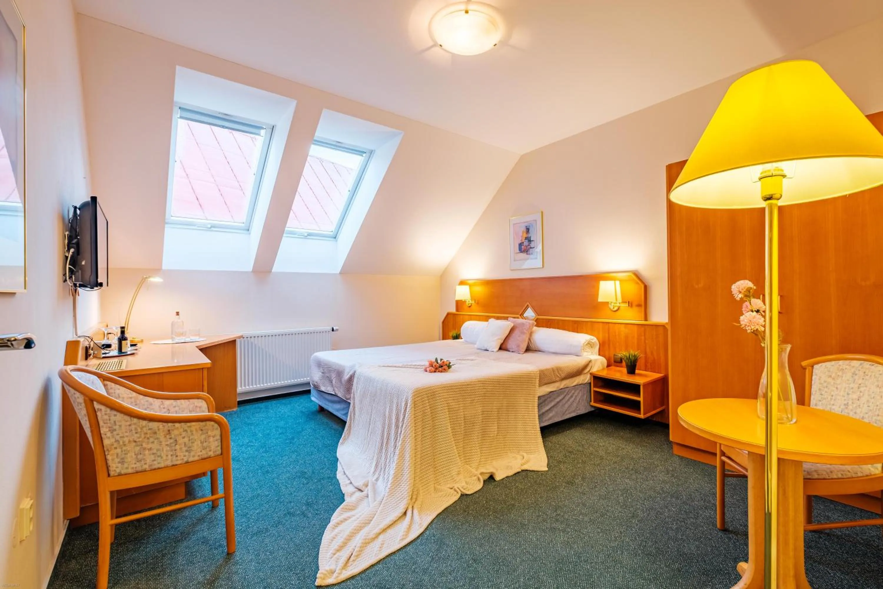 TV and multimedia in Hotel Orličan