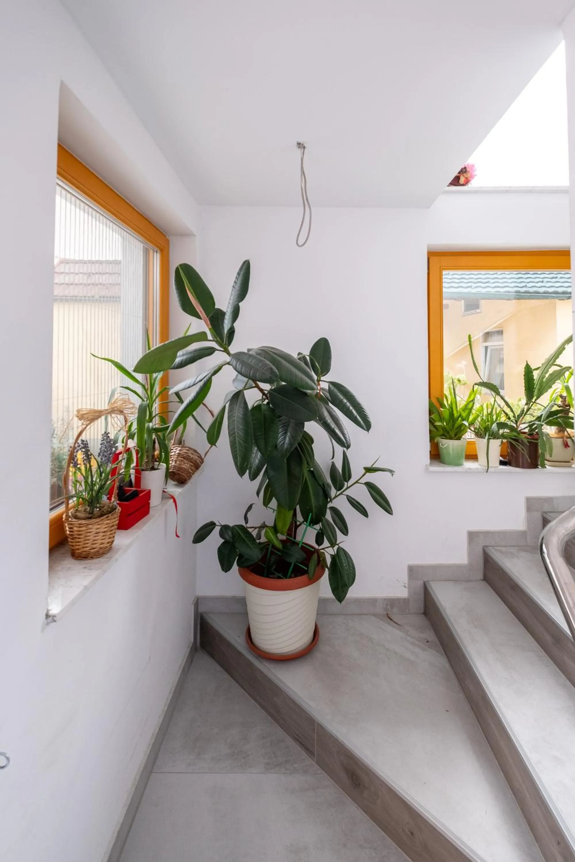 Lobby or reception in Guesthouse Rose