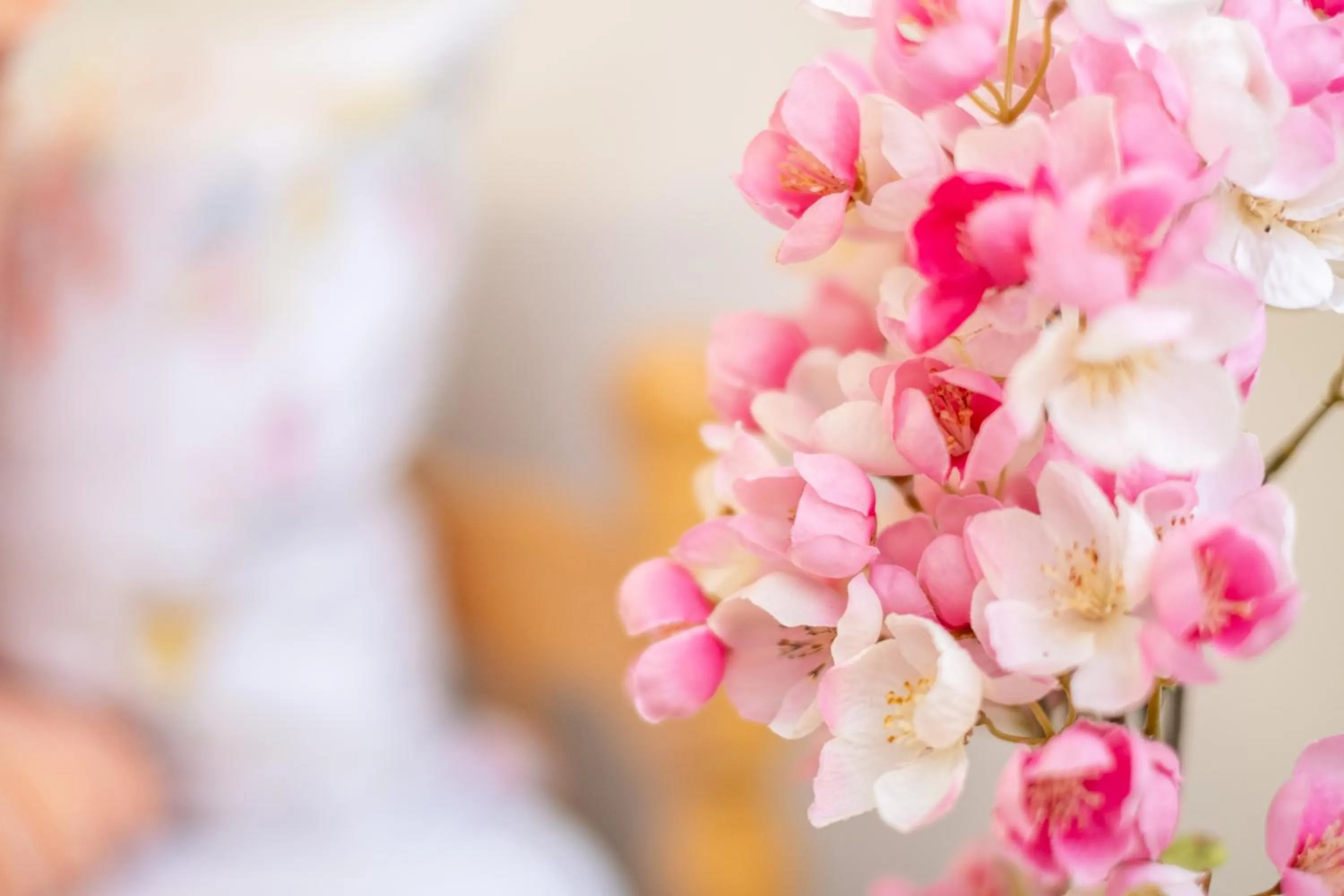 Decorative detail in Guesthouse Rose