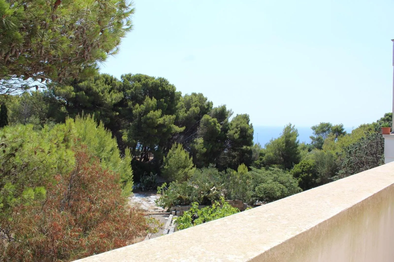 Natural landscape in Villa Pedaci B&B