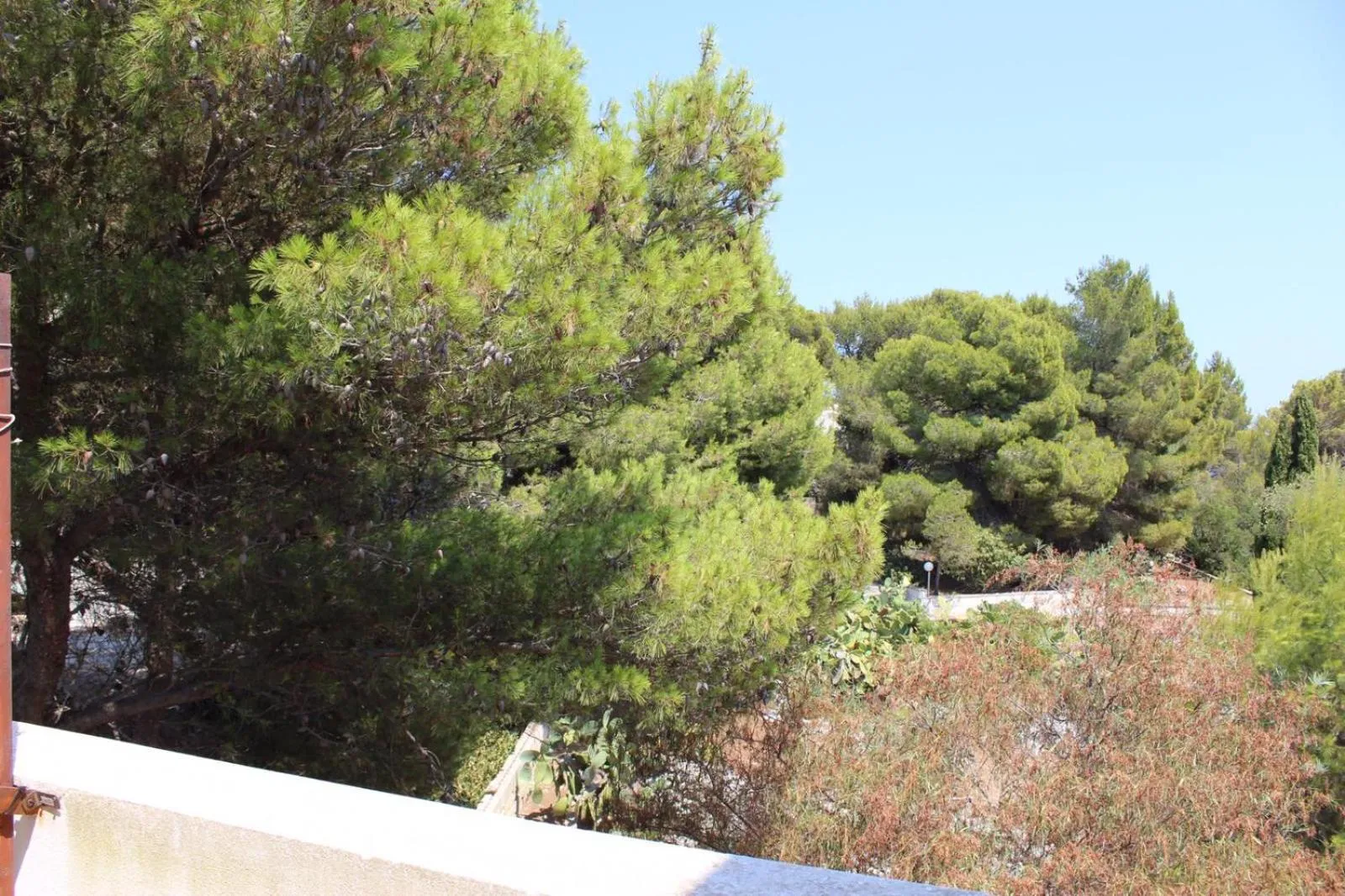 Garden in Villa Pedaci B&B