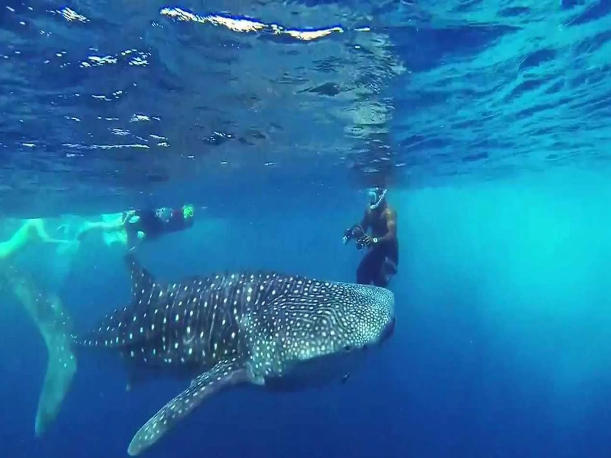 Diving in Vista Beach Retreat