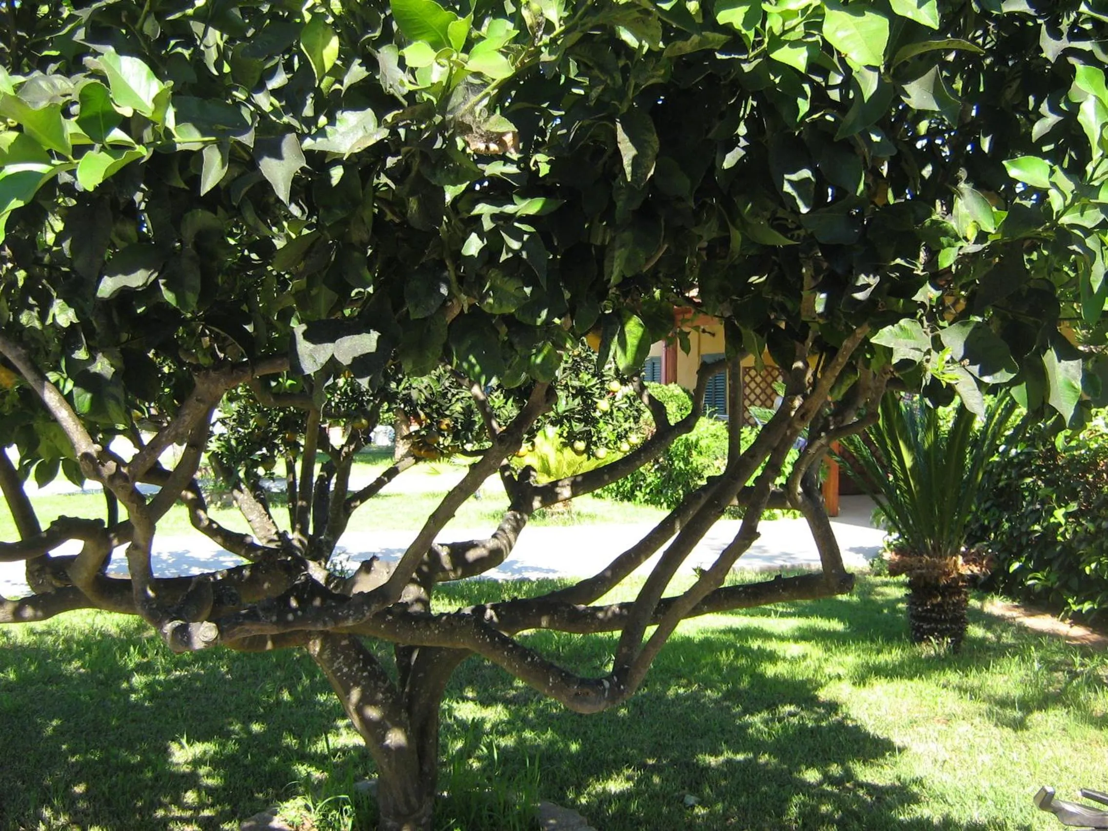 Day in Tenuta Paifer