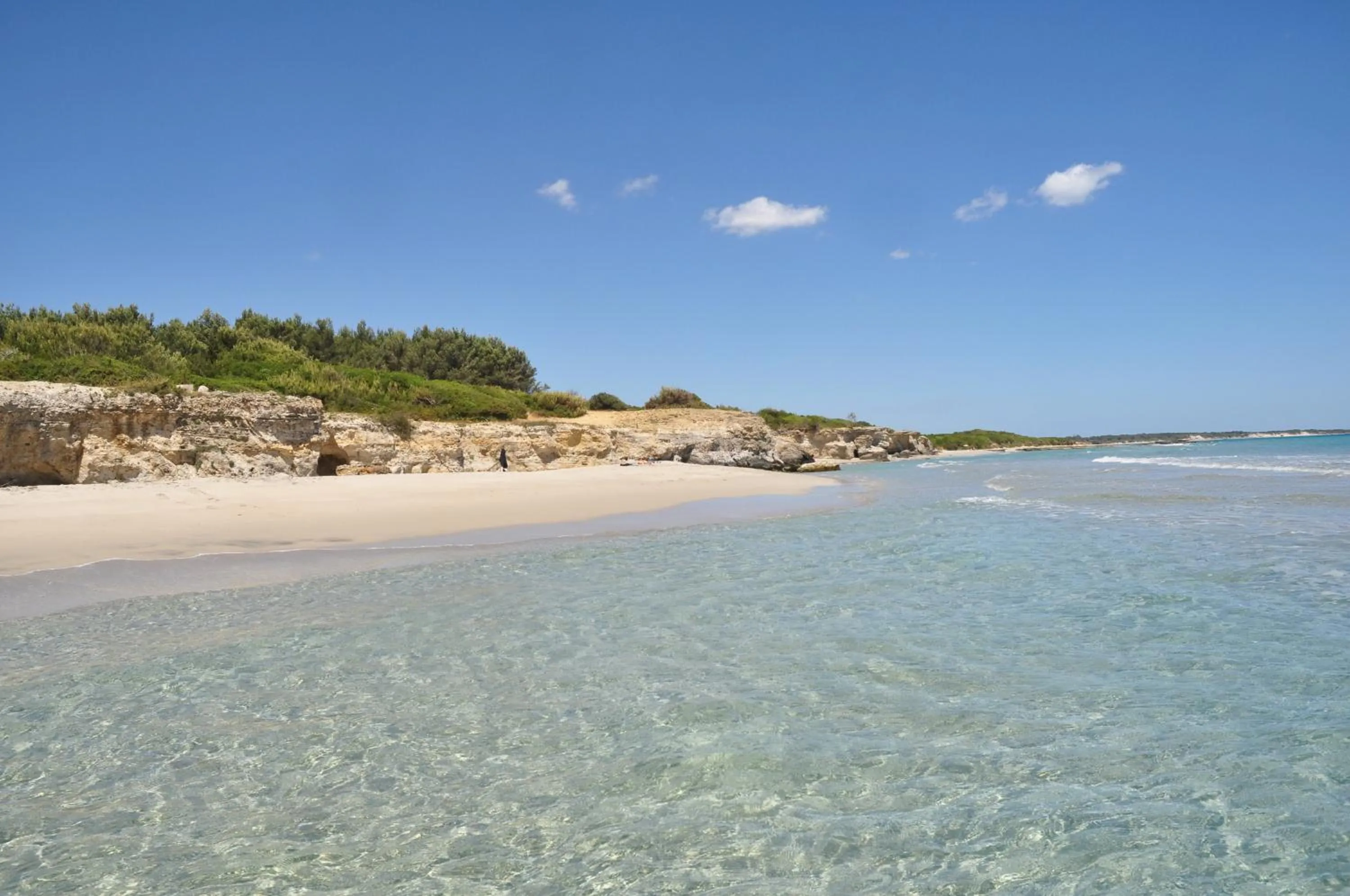 Natural landscape in Tenuta Paifer