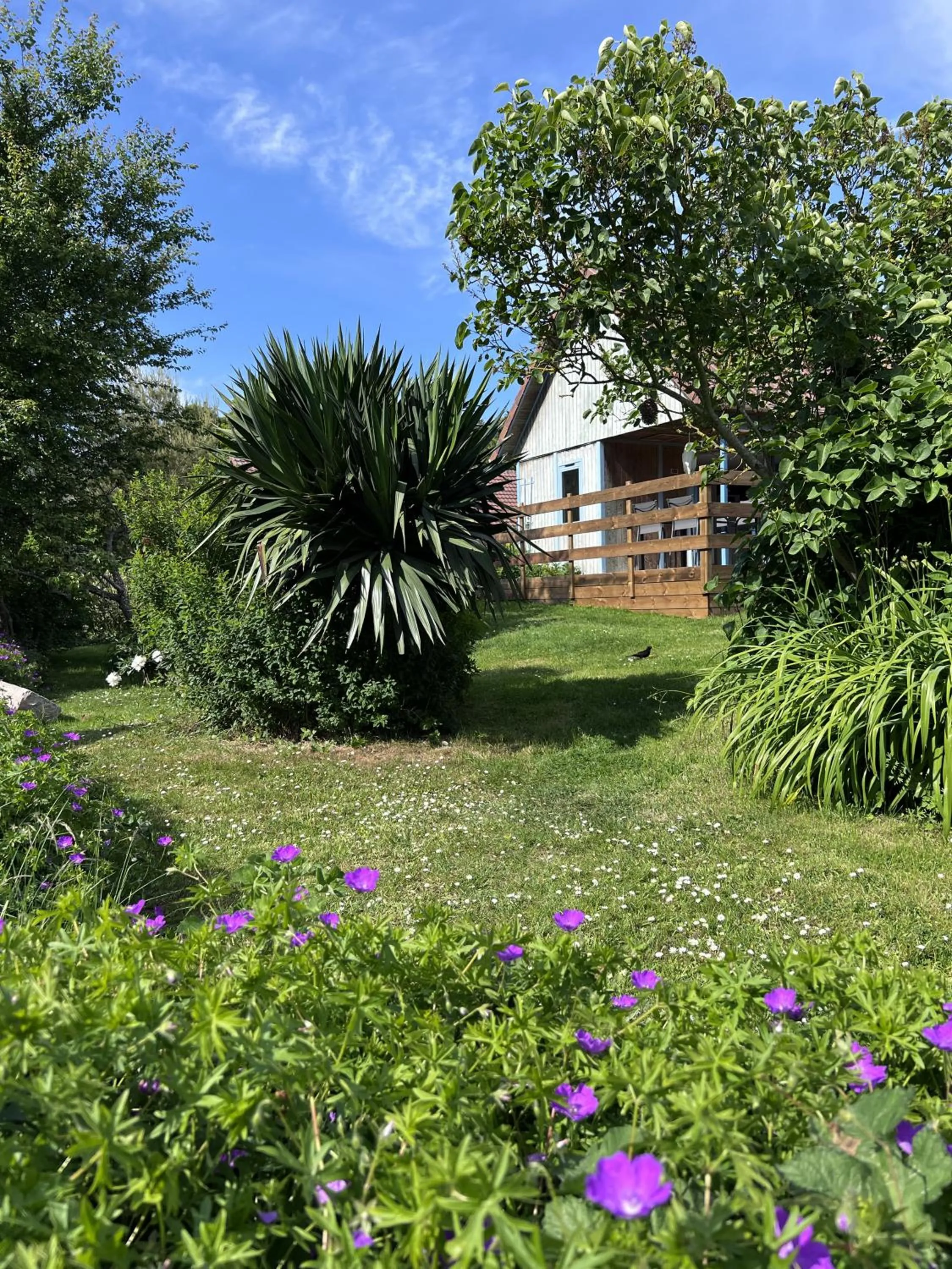 Patio in Le Pré Marin
