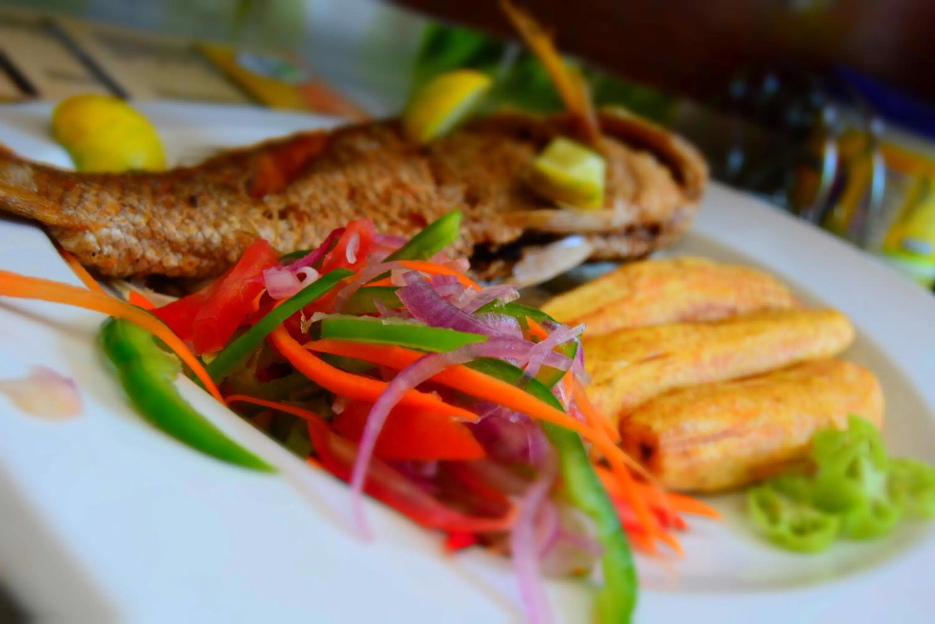 Florida Executive Inn