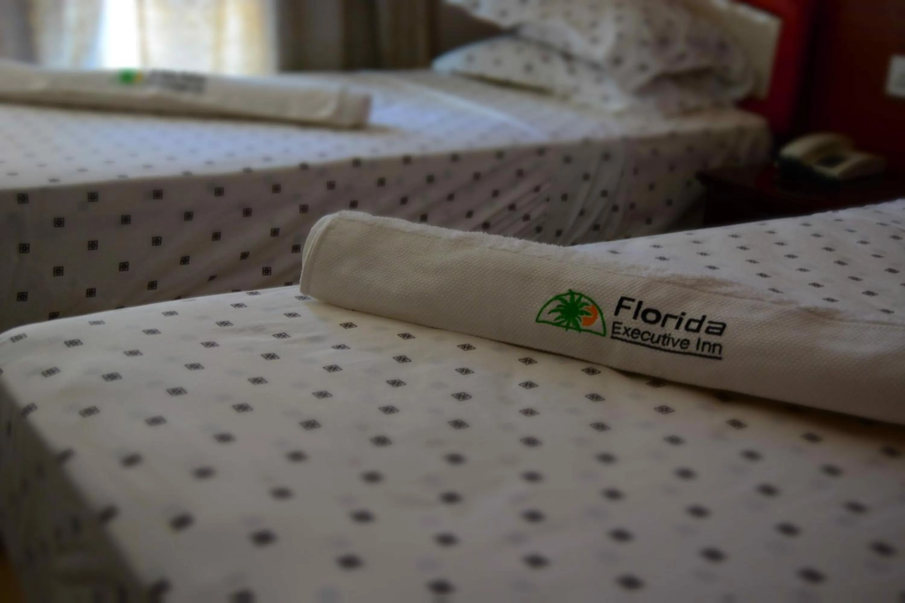 Bed in Florida Executive Inn