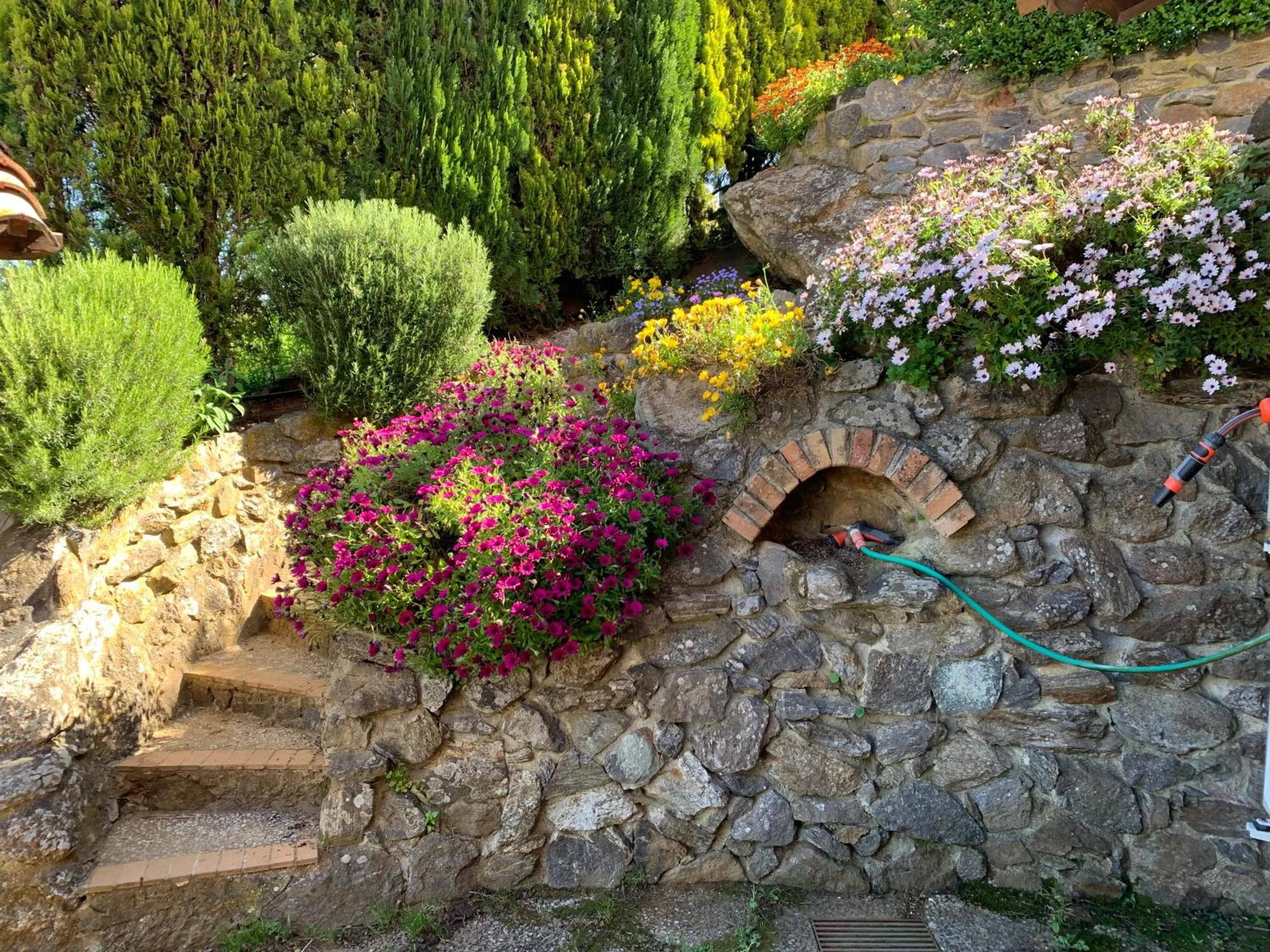 Garden in Villa Zufrò
