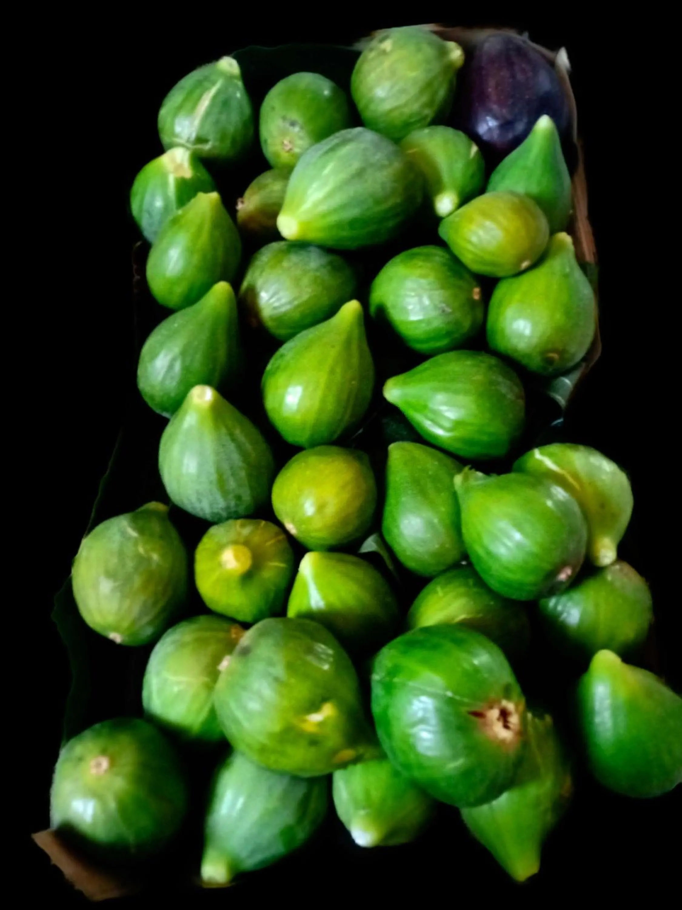 Other in B&B Mareggiata