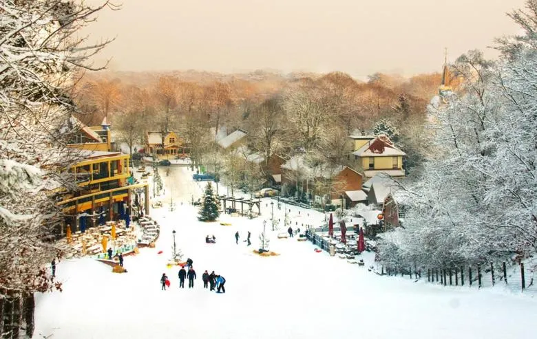 Nearby landmark in Duinberk B&B hotel en Brasserie