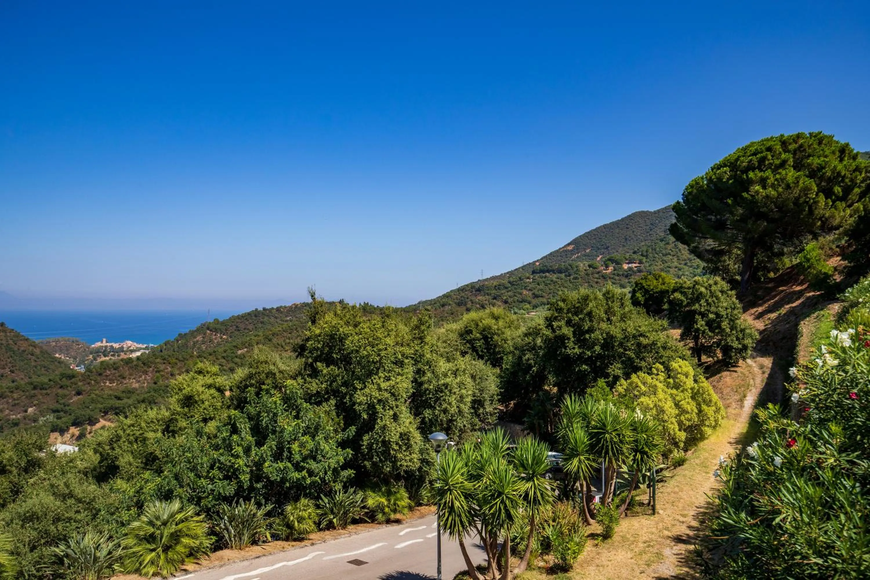 View (from property/room) in Villa Ginevra Resort Agrituristico