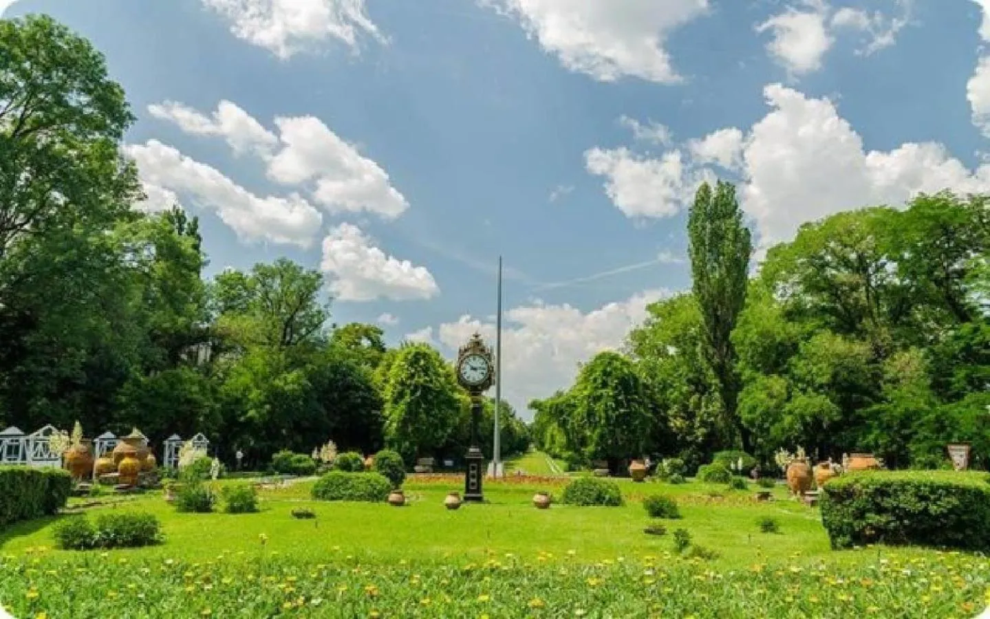 Garden in Apartment Faryna