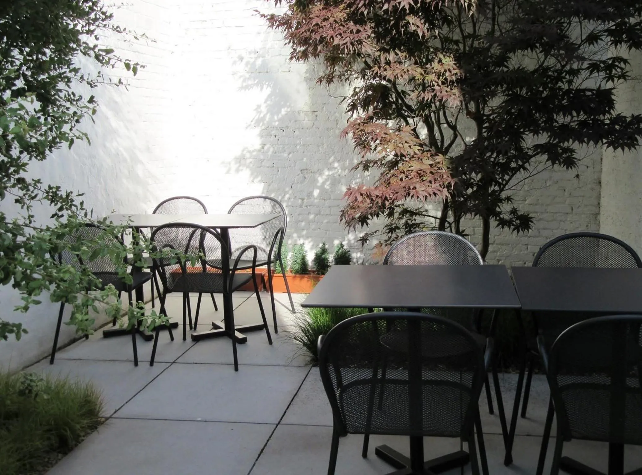 Balcony/Terrace in Hotel Muske Pitter