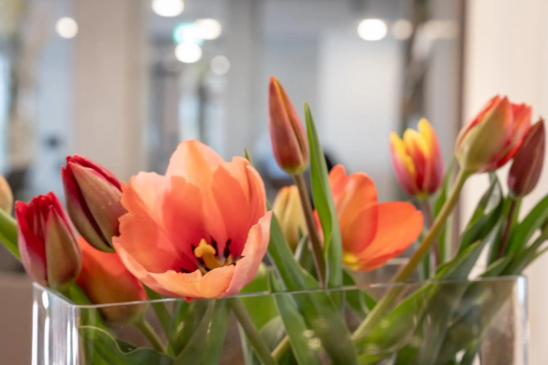 Gästehaus am Schloss