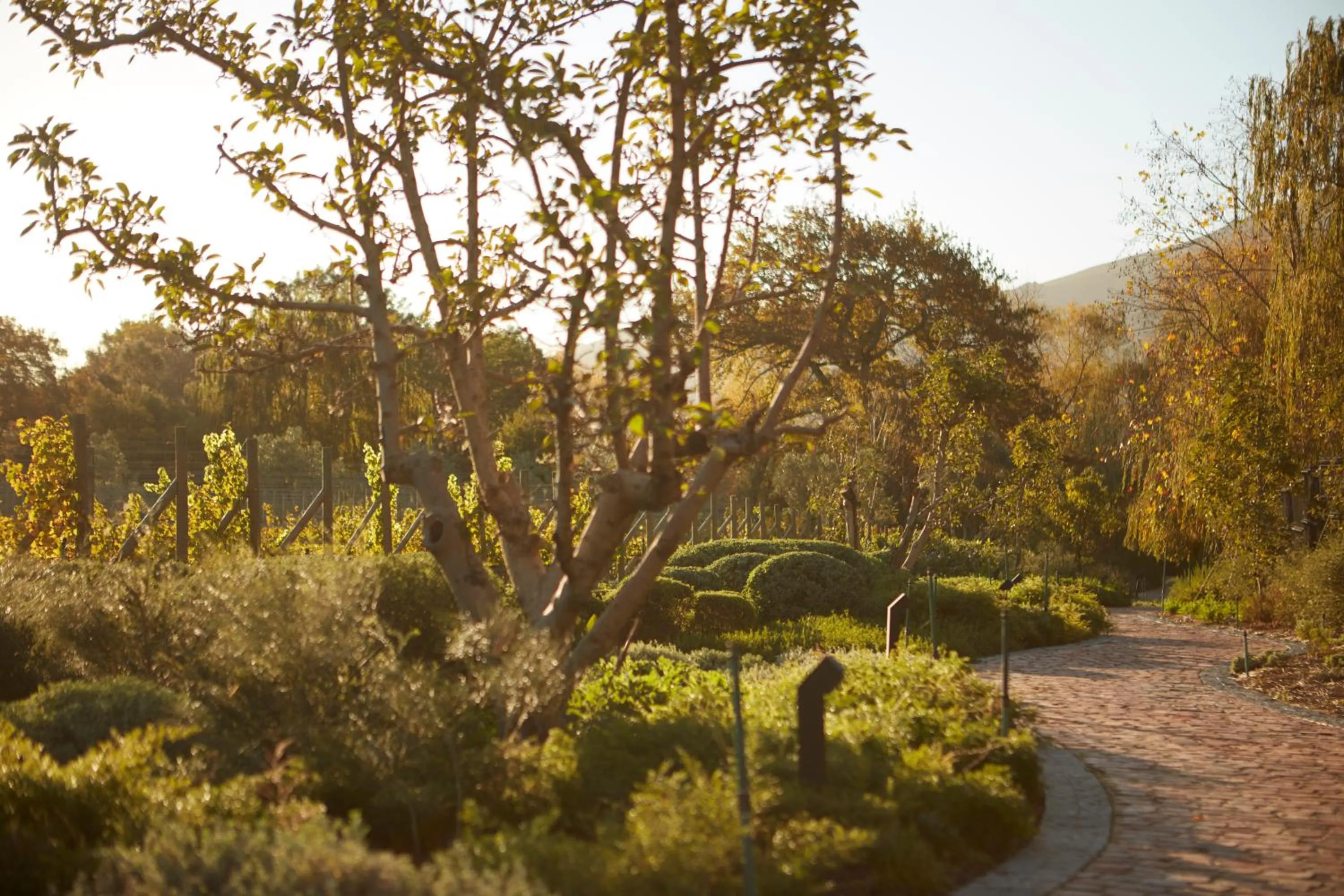 Garden in Leeu Estates