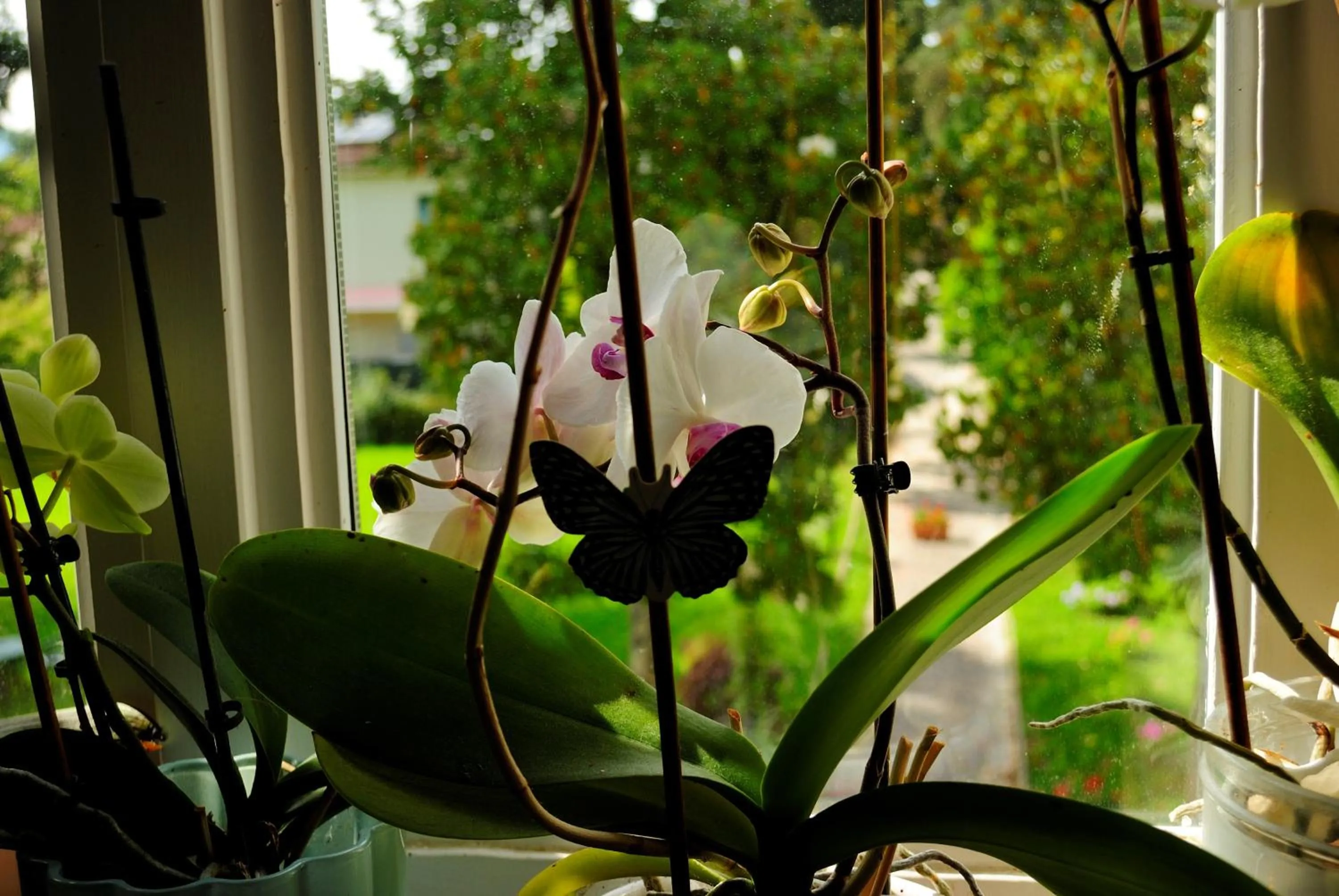 Decorative detail in Villa Gherardi - B&B e Hostel