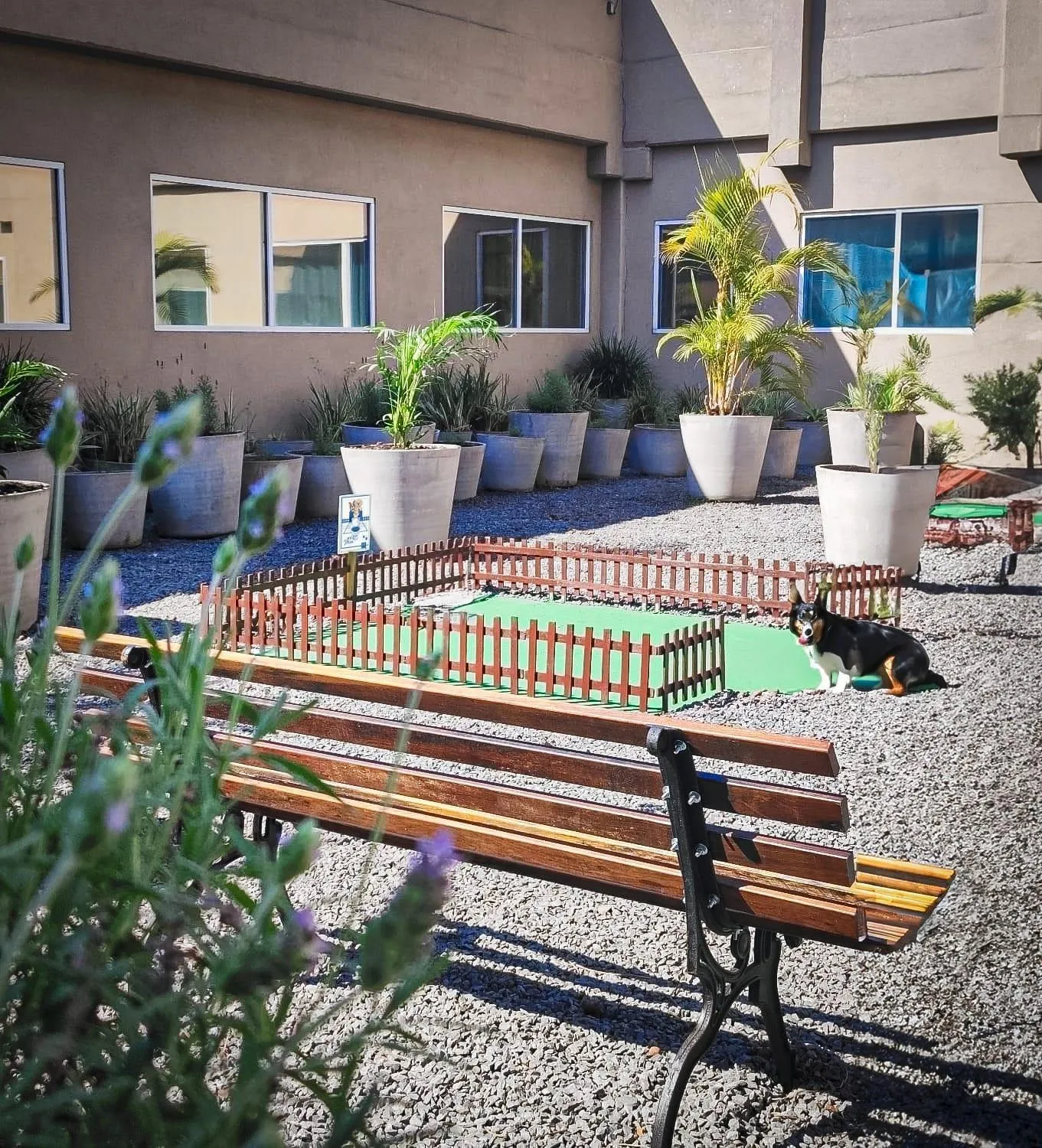 Property building in TRYP BY WYNDHAM São Paulo Airport - Hotel de Transito Terminal 3 -Lado Ar - Área restrita á passageiros já embarcados - Piso 1