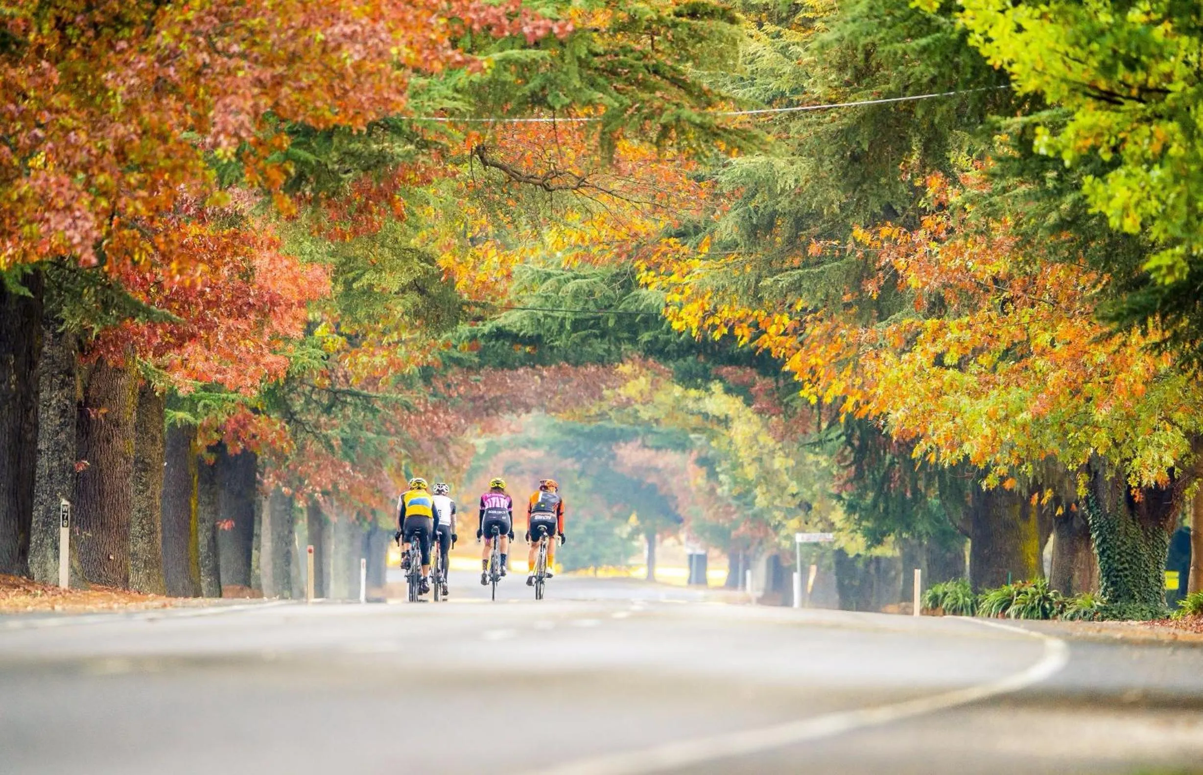 Cycling in Bright Porepunkah Holiday Park
