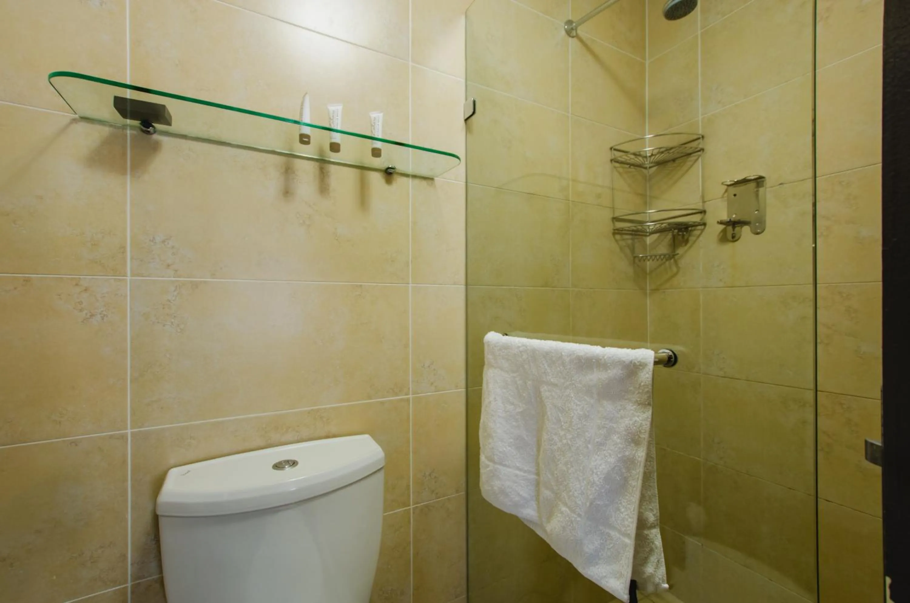 Shower in Melrose Corner Self-Catering Hotel Apartments