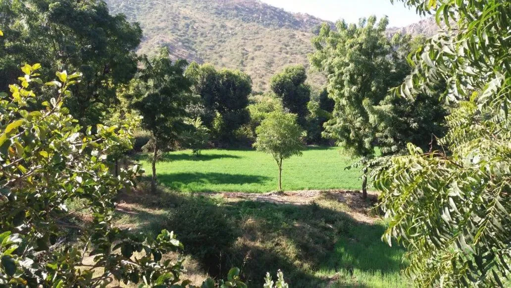 Area and facilities in Krishna Ranch