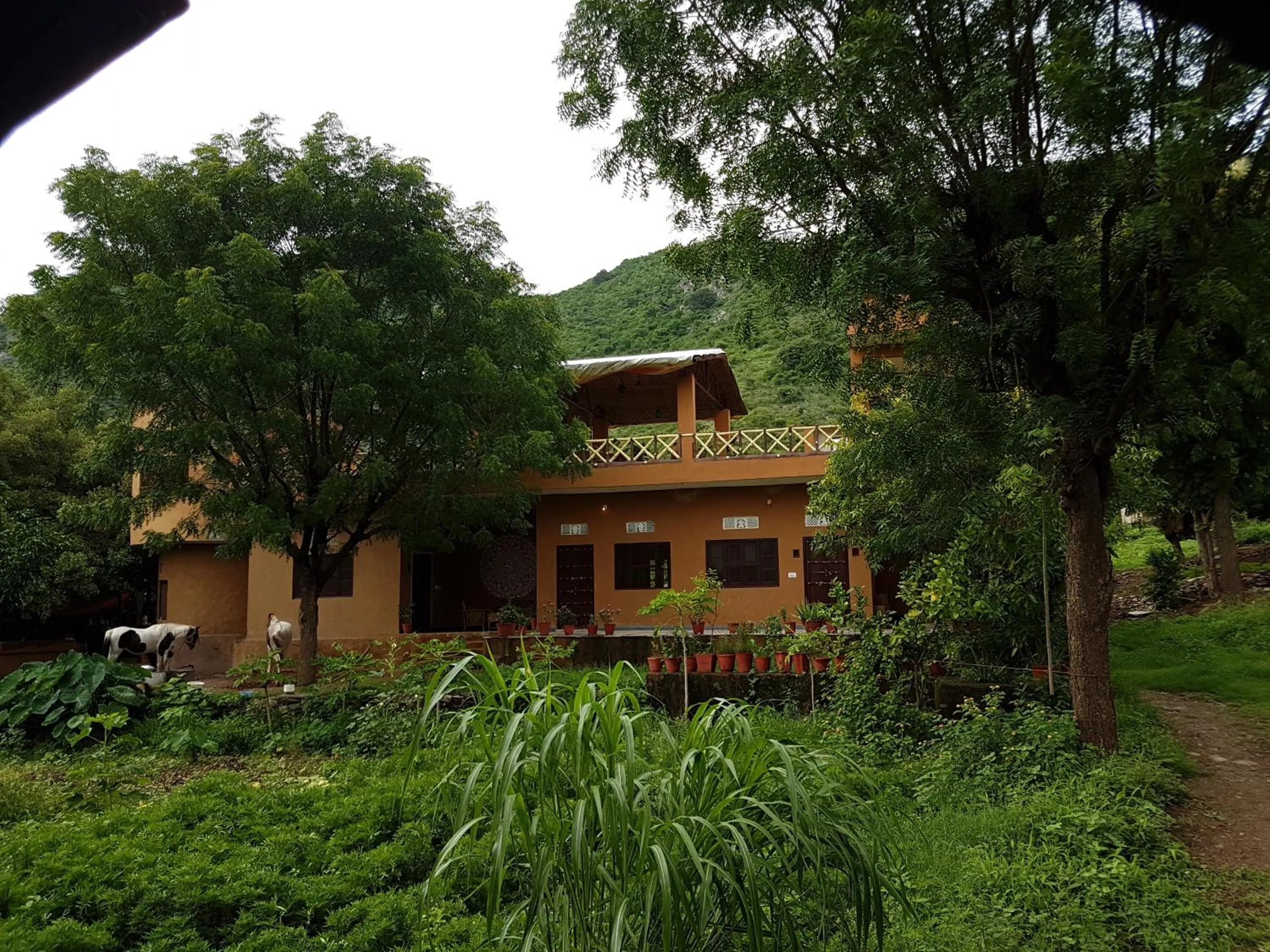 Krishna Ranch
