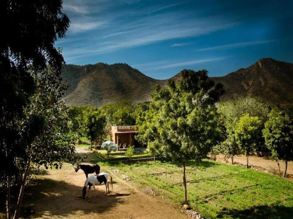 Natural landscape in Krishna Ranch