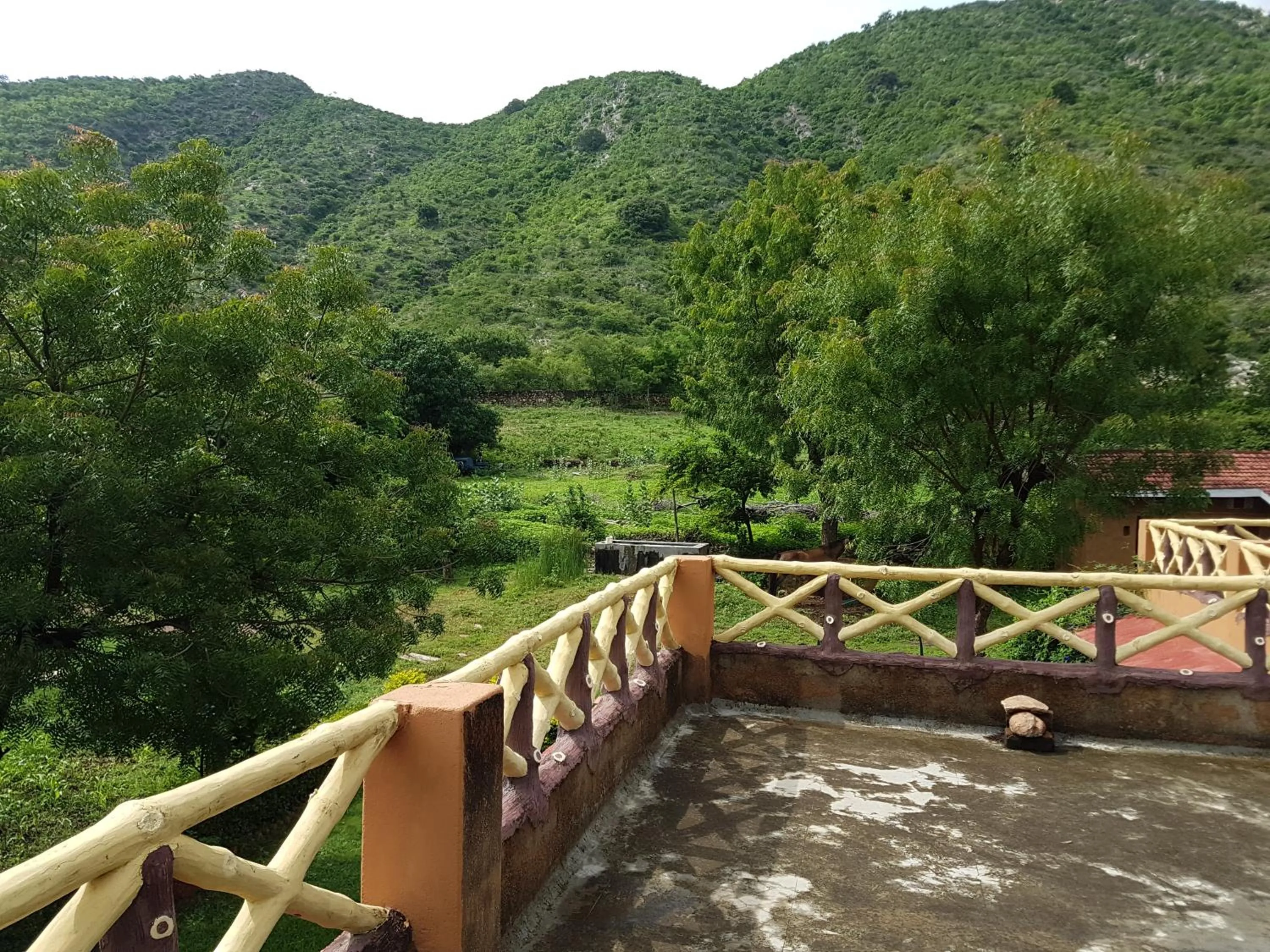 Krishna Ranch