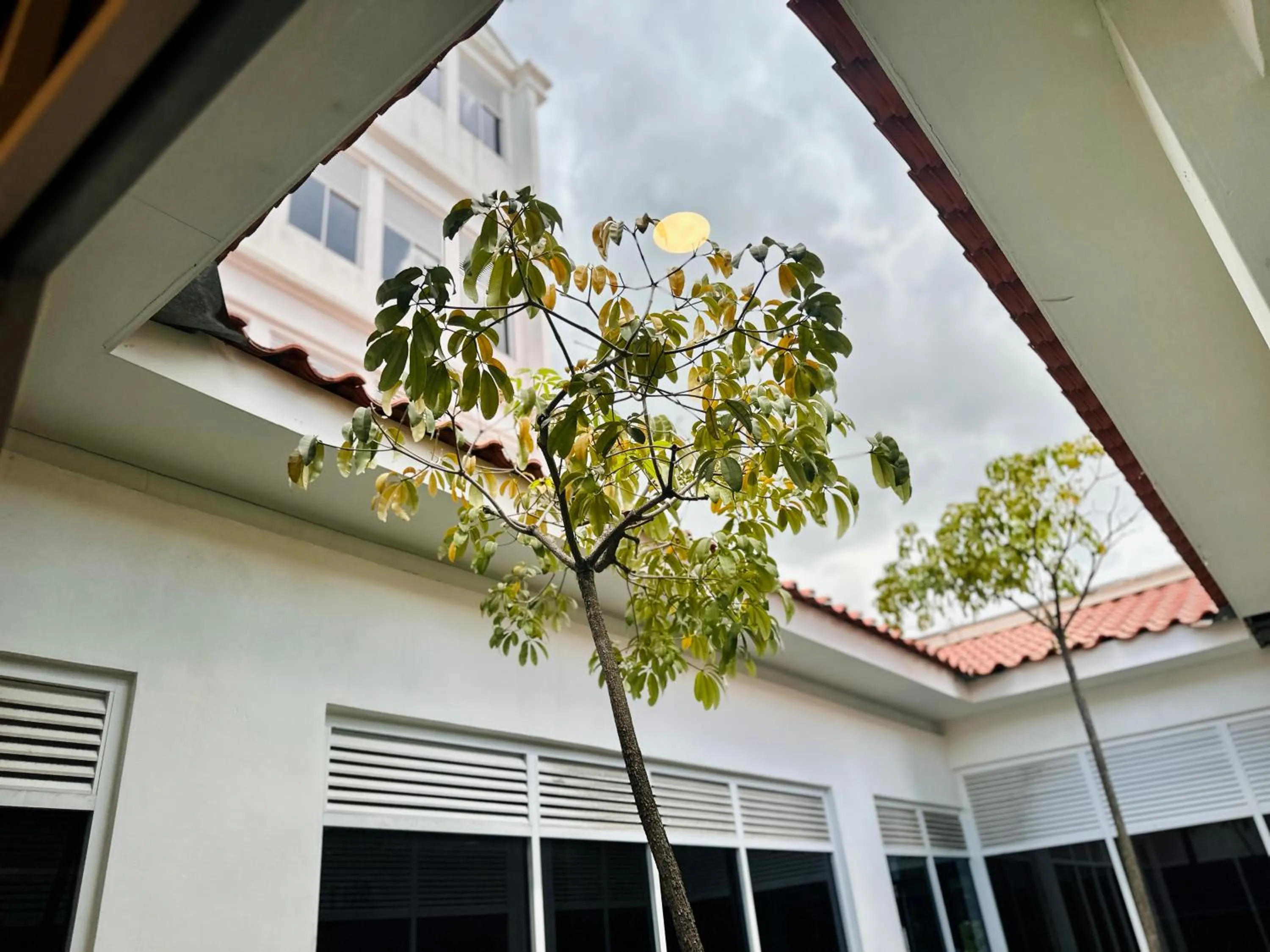 View (from property/room) in C Y C Heritage Hotel