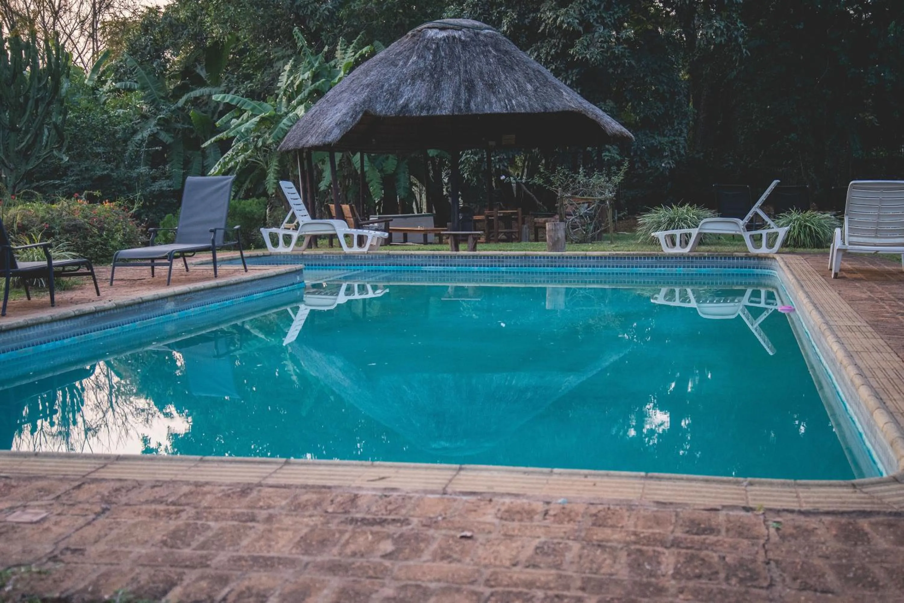 Swimming pool in Thokozani Lodge